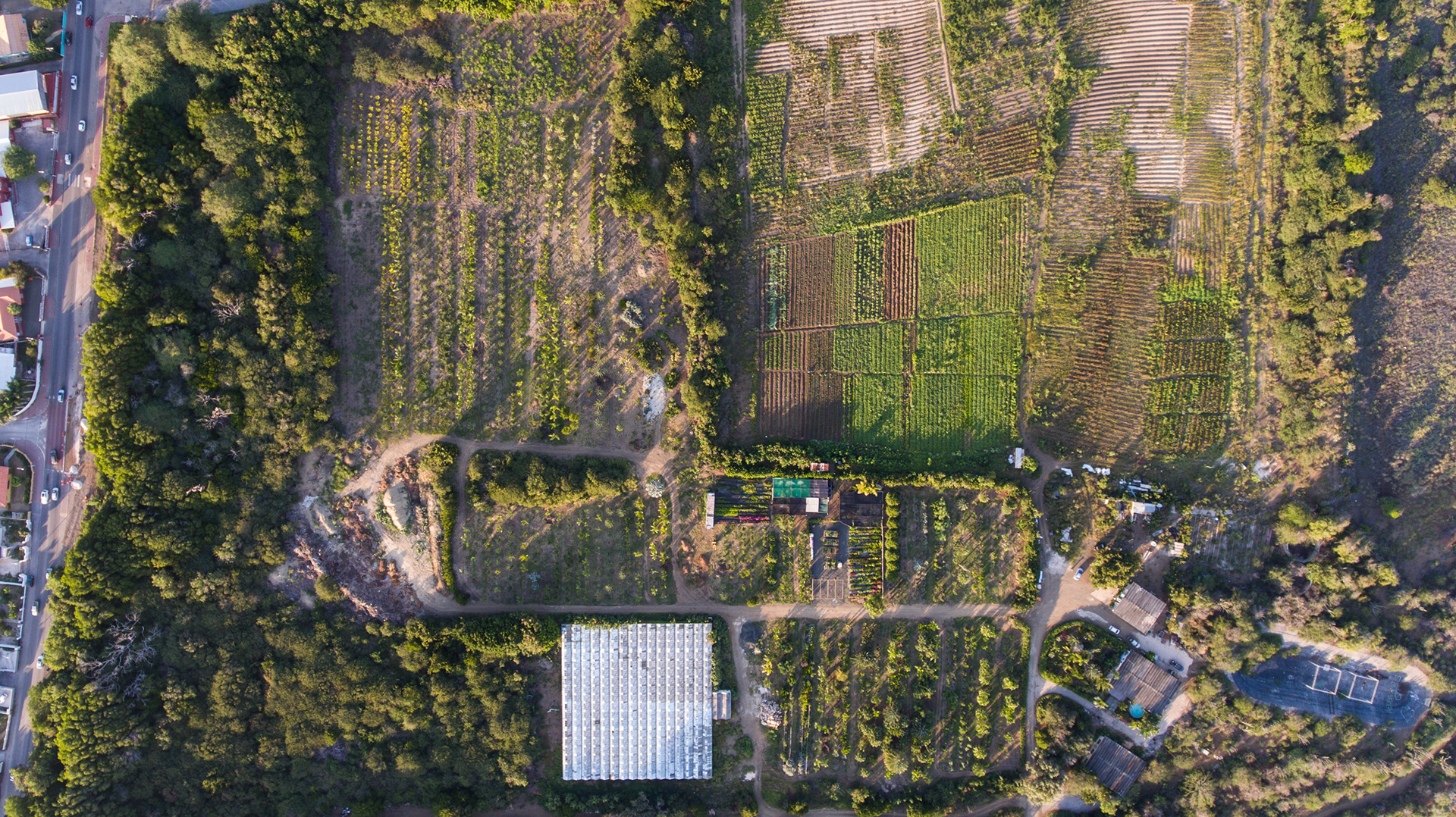 Hoekstra landscapers