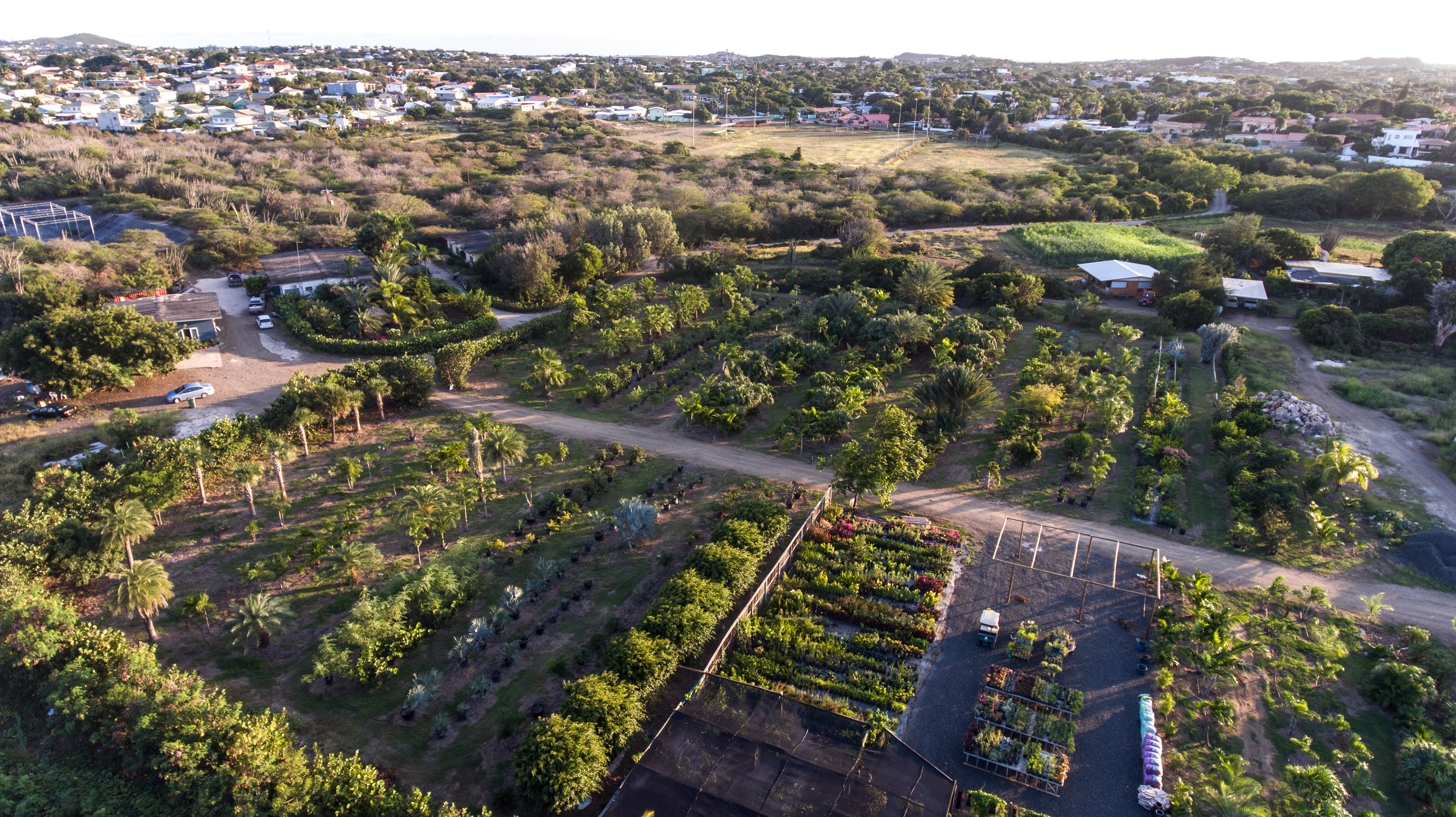 Hoekstra landscapers