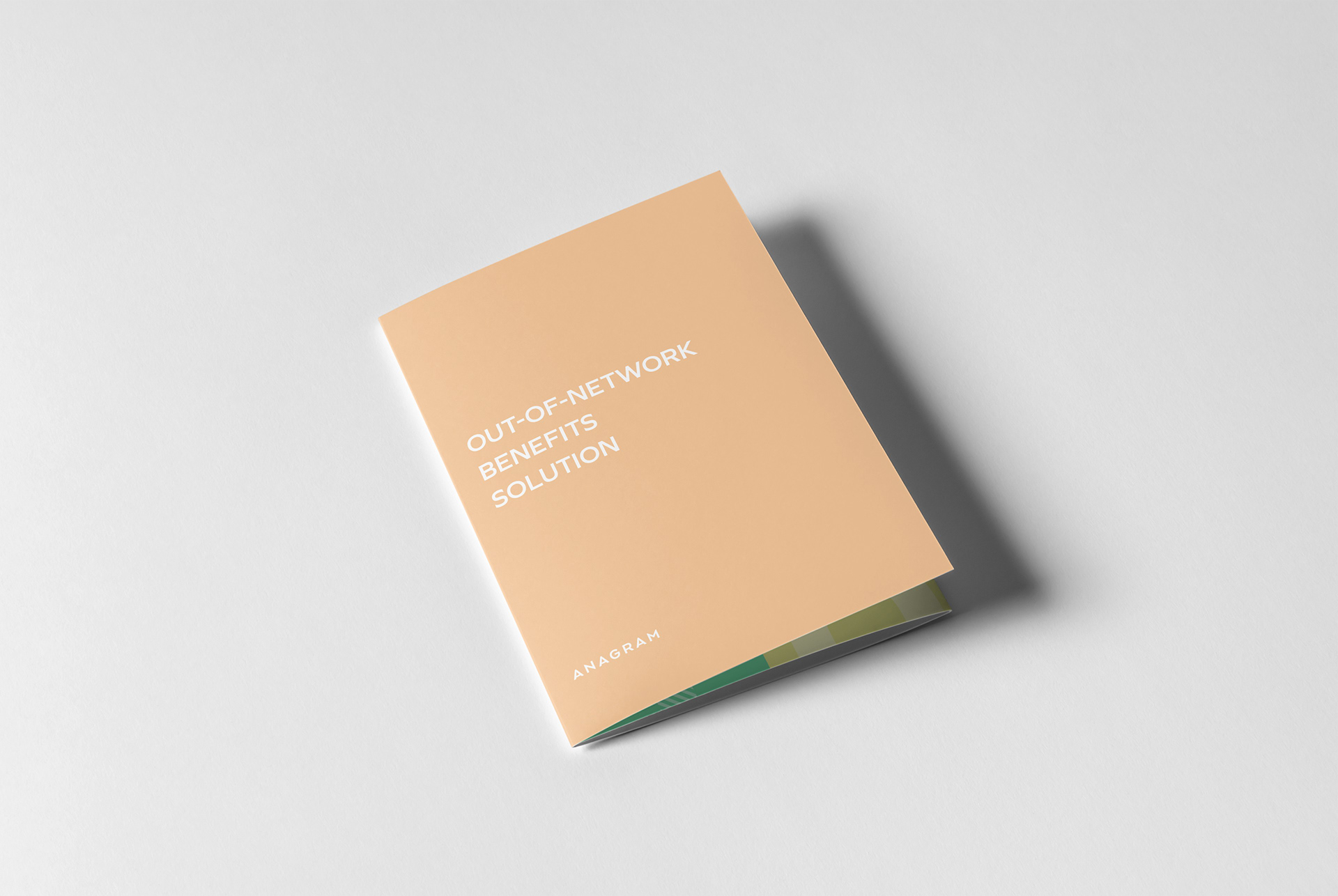 Marketing Brochure