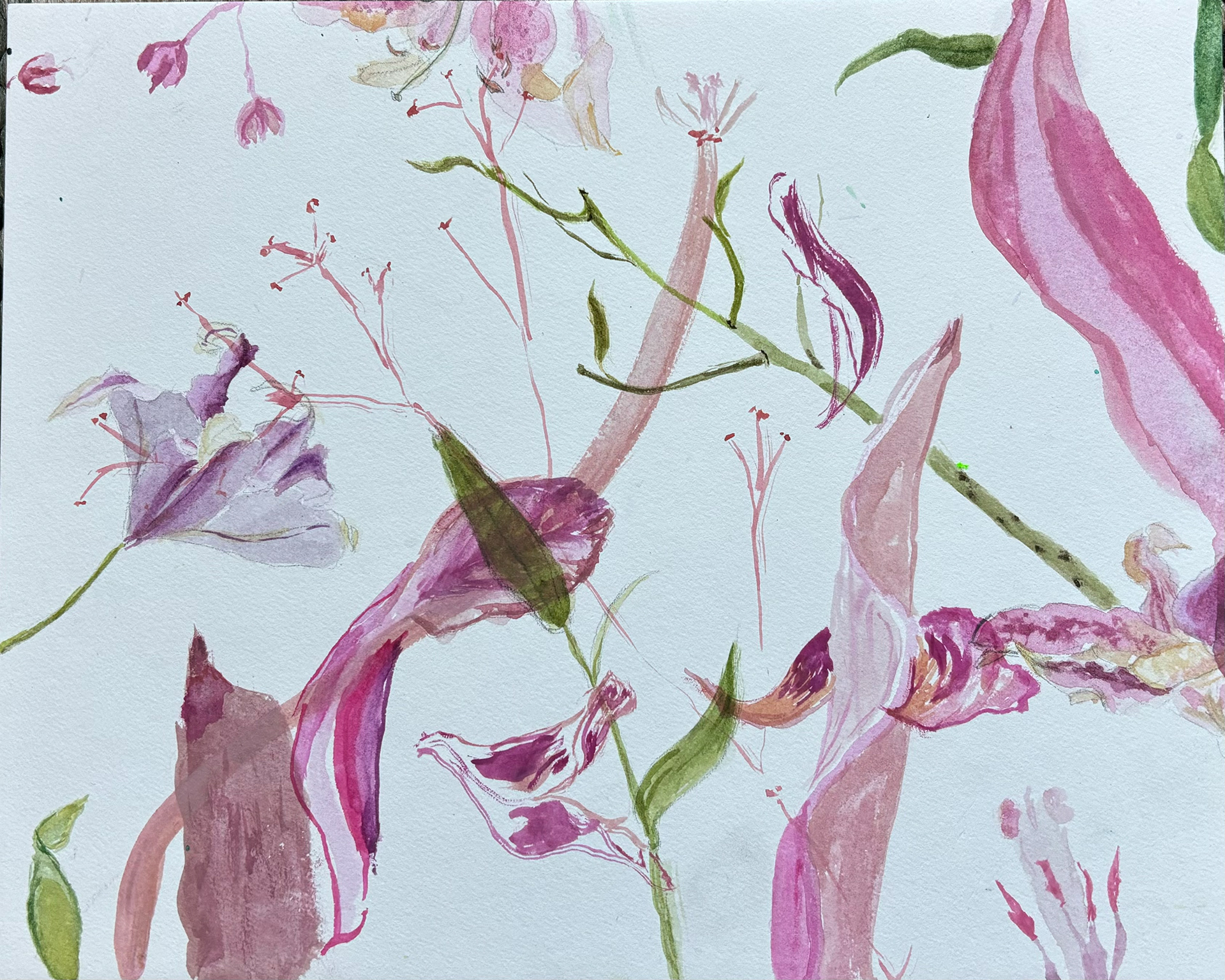 flores de sanh, watercolor and graphite on panel, 7"x10", 2024