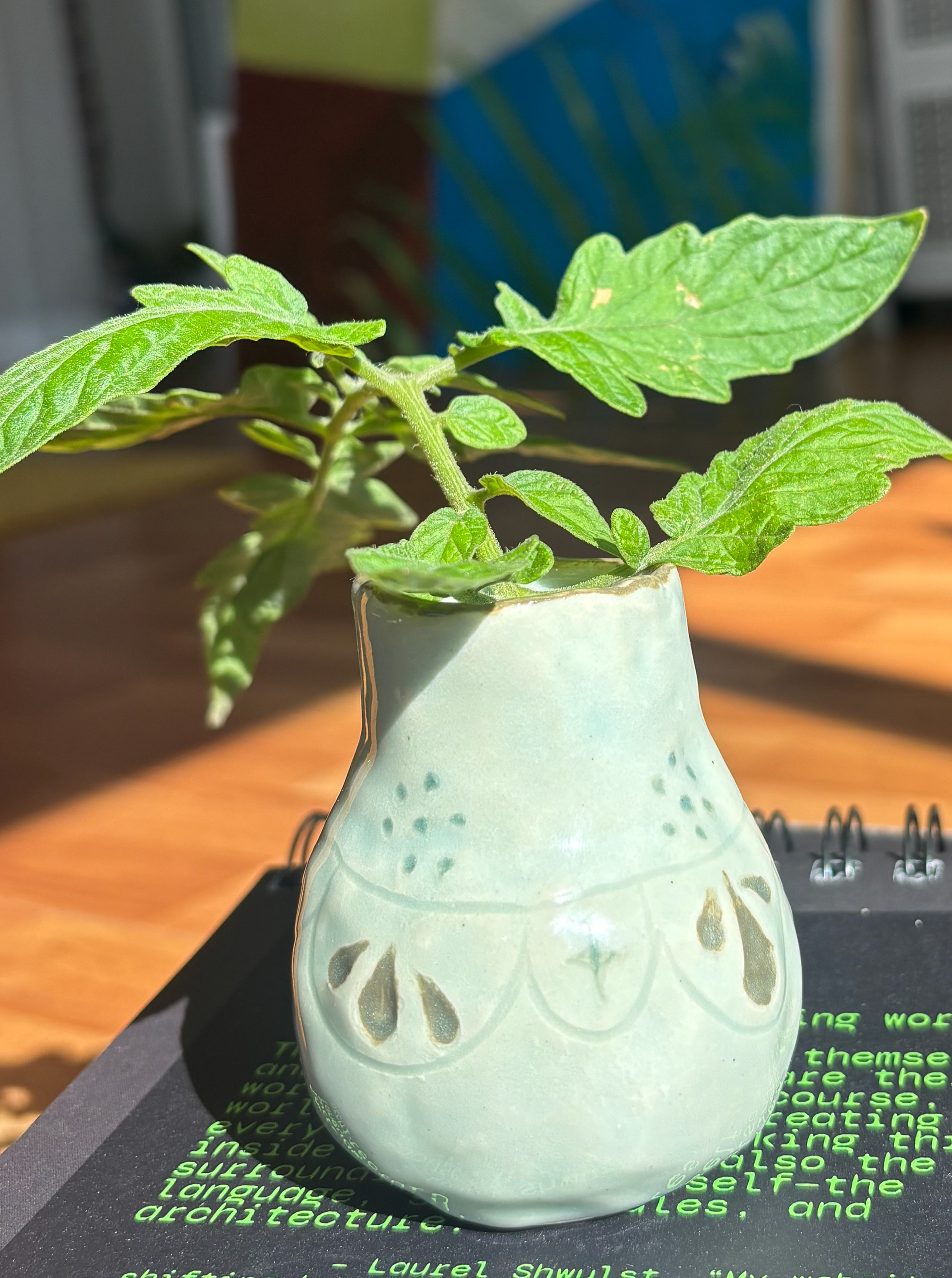 little vase