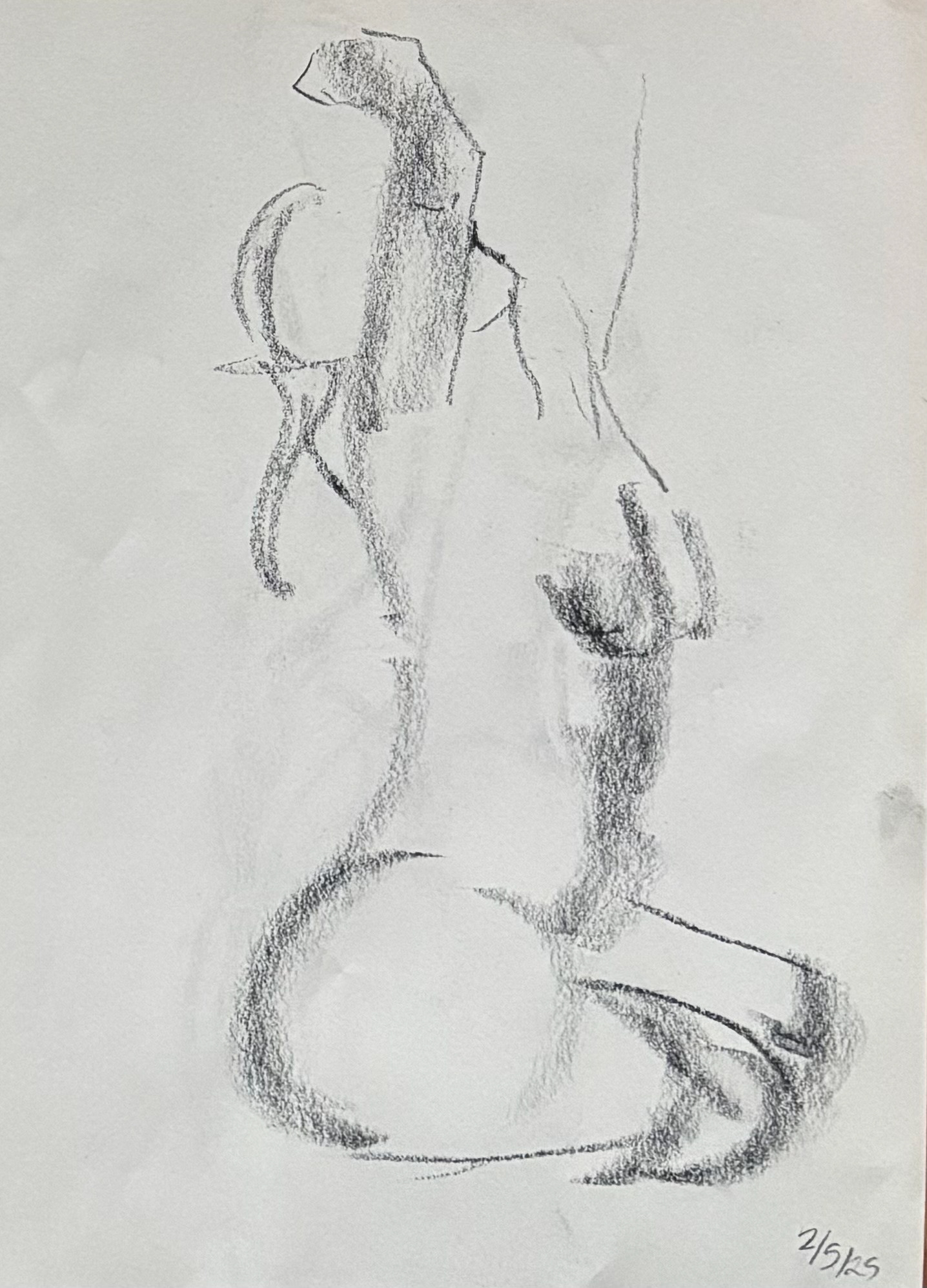 figure, charcoal on newsprint, 9"x12", 2025, $30