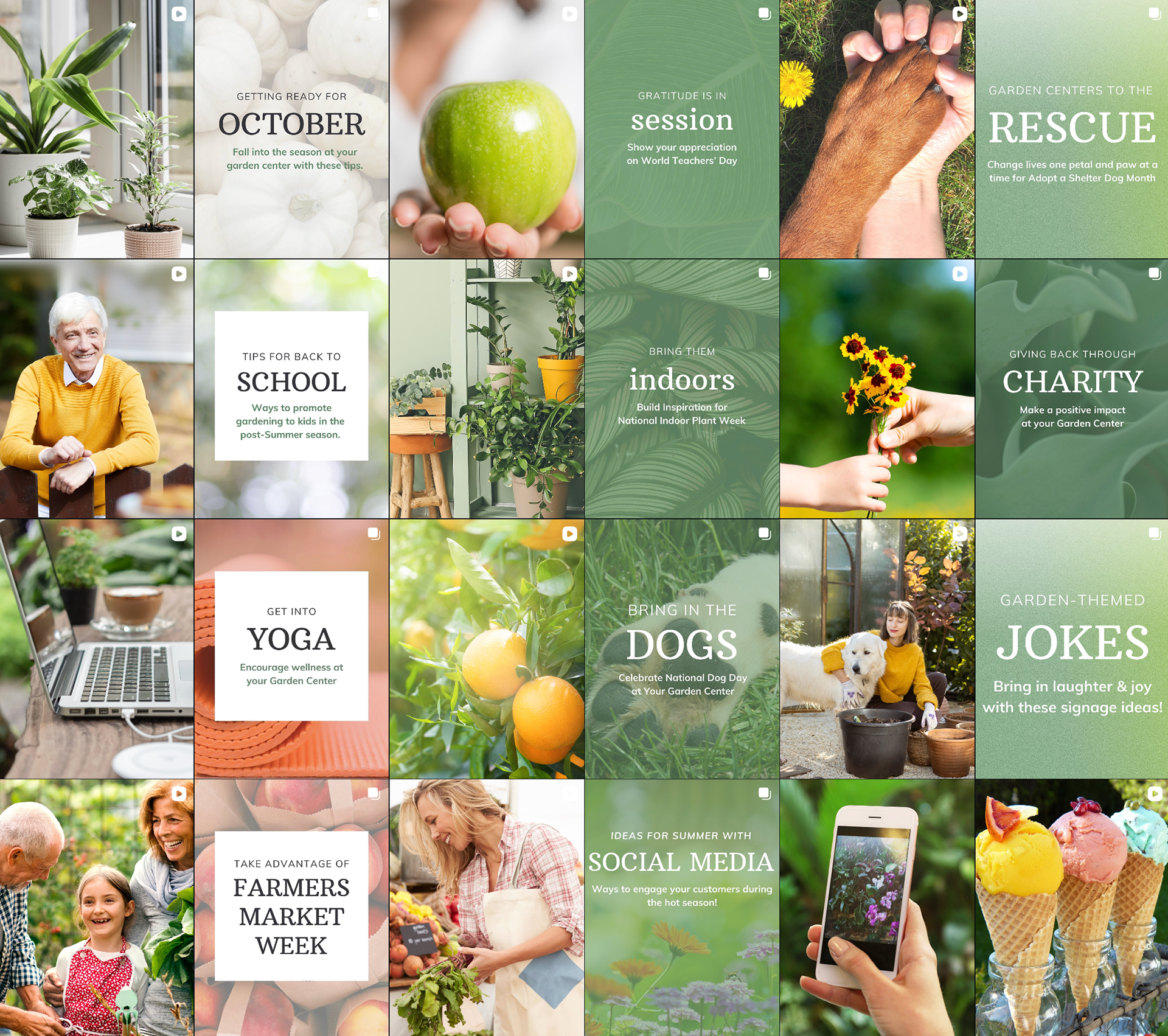 Dig Marketing Social Media Design- Instagram Feed- B2B Content