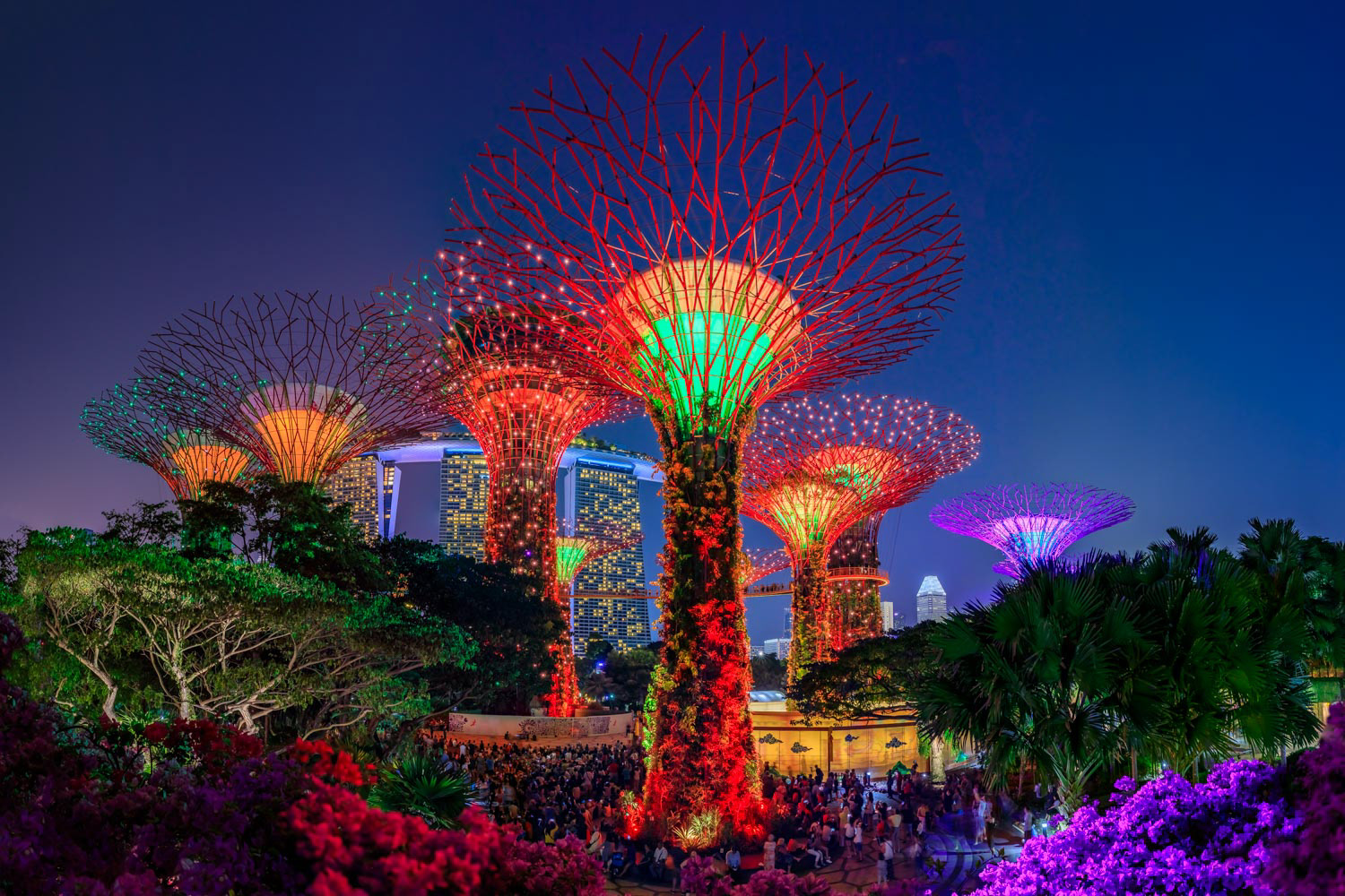 Garden Rhapsody, colorful light show at the Supertree Grove Gardens by the Bay in Singapore, popular tourist attraction