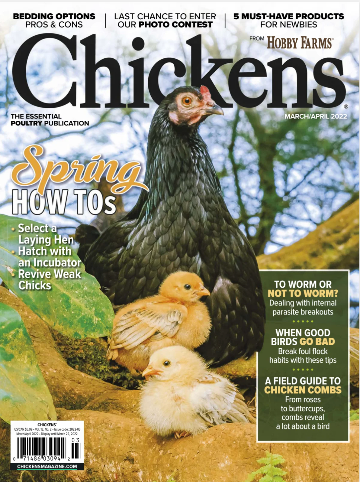 Chickens, the essential poultry publication magazine cover