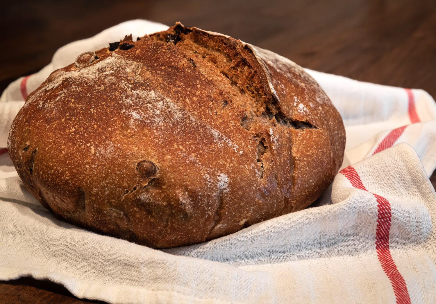 Baked loaf of artisanal whole wheat sourdough bread with black olives, photo series