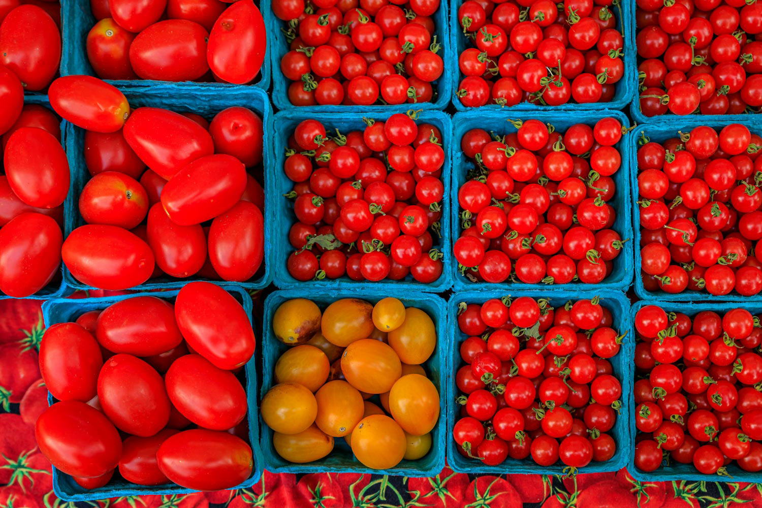 Selection of ripe red and yellow cherry and plum tomatoes at an outdoor farmers market in Manhattan, New York, USA