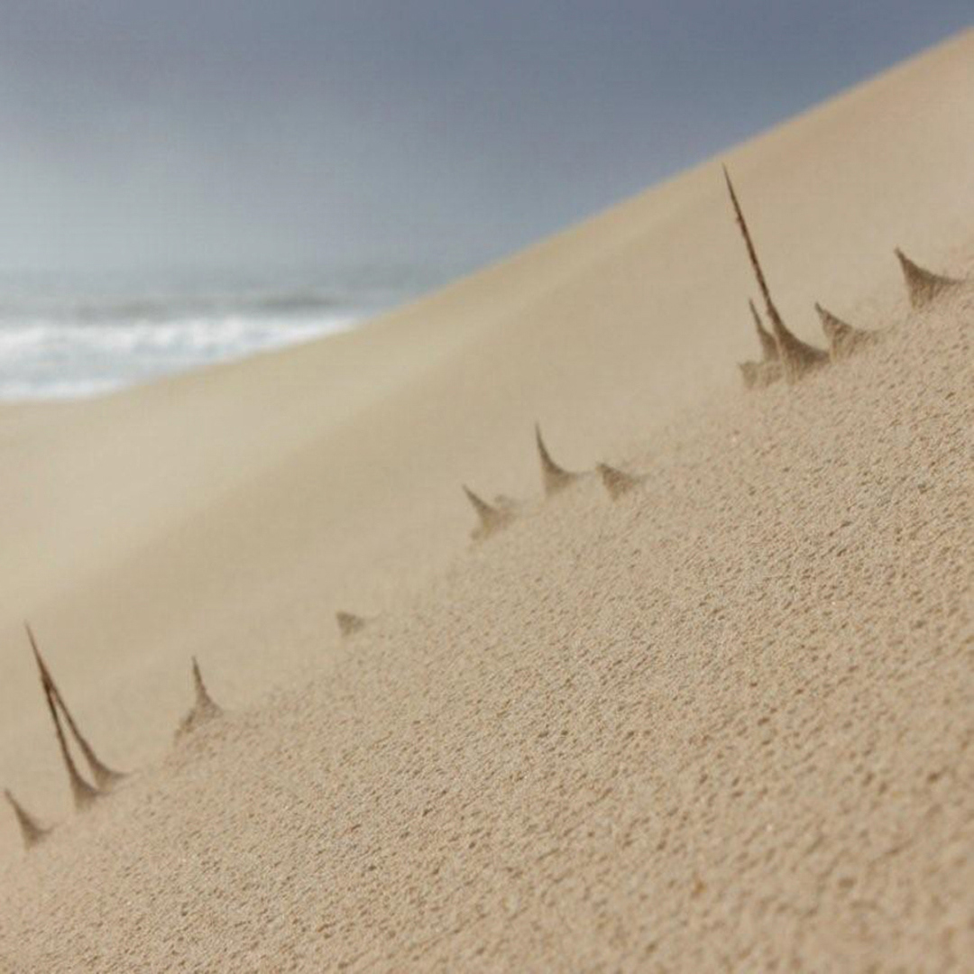 Sandspikes