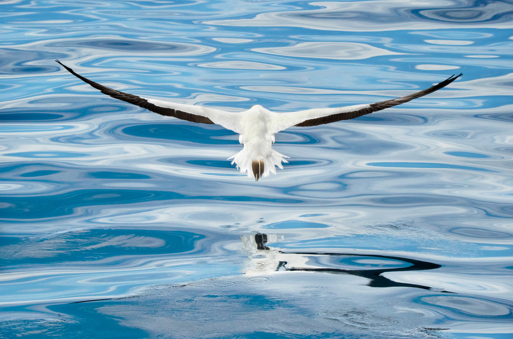 Take off