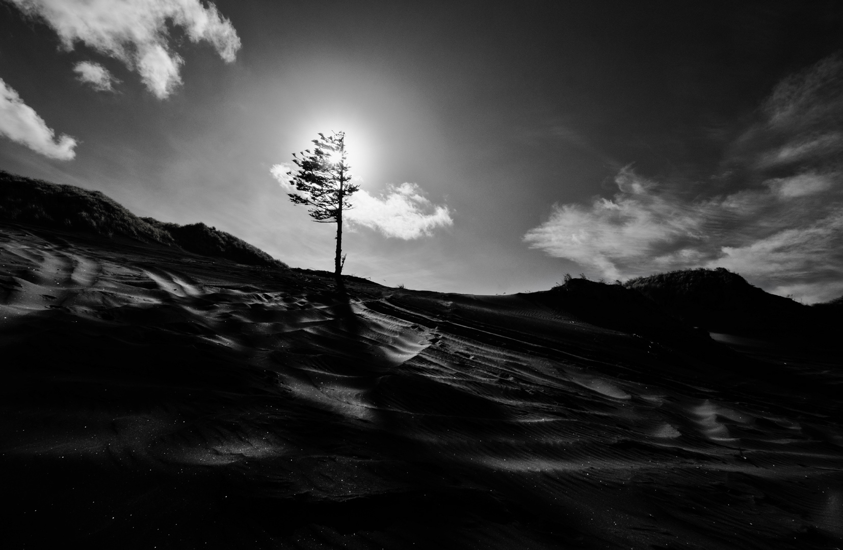 Stars in the sand