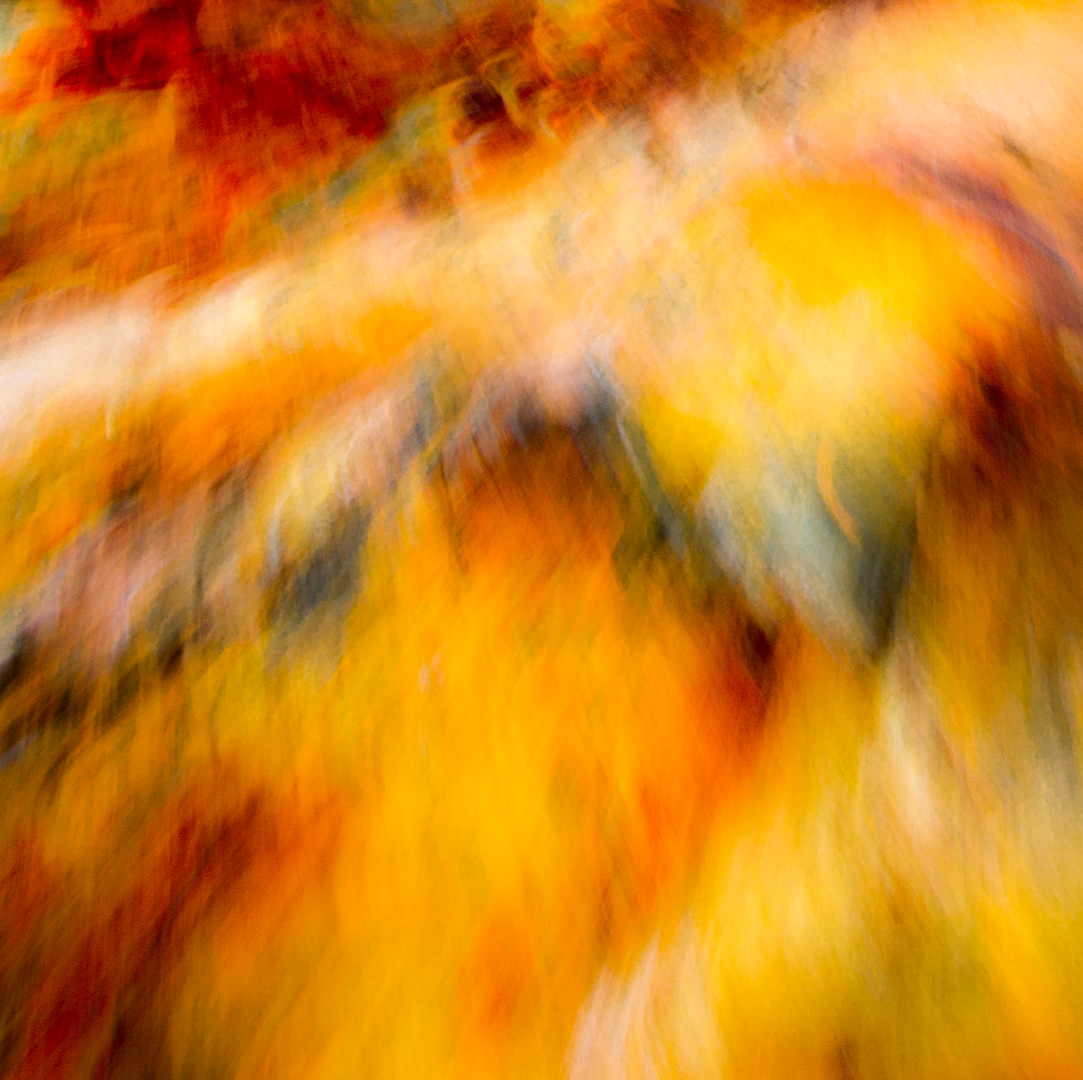 Searing