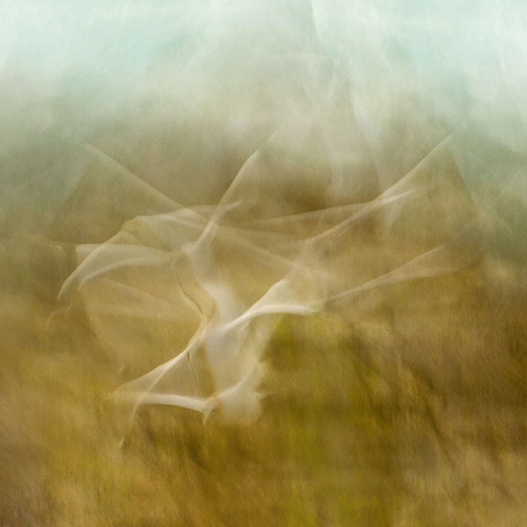 Flight paths ii