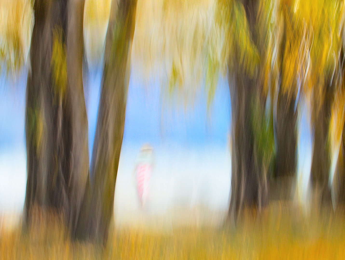 Autumn Wander