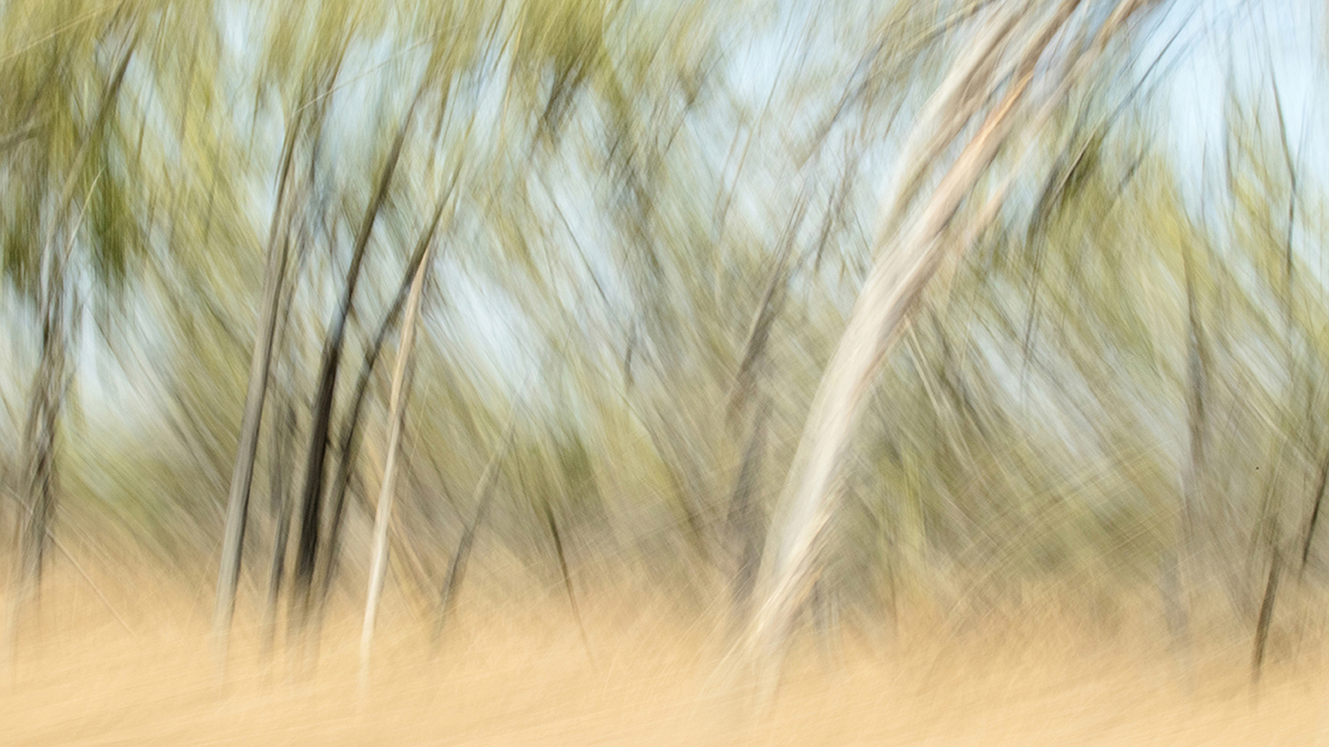 Outback