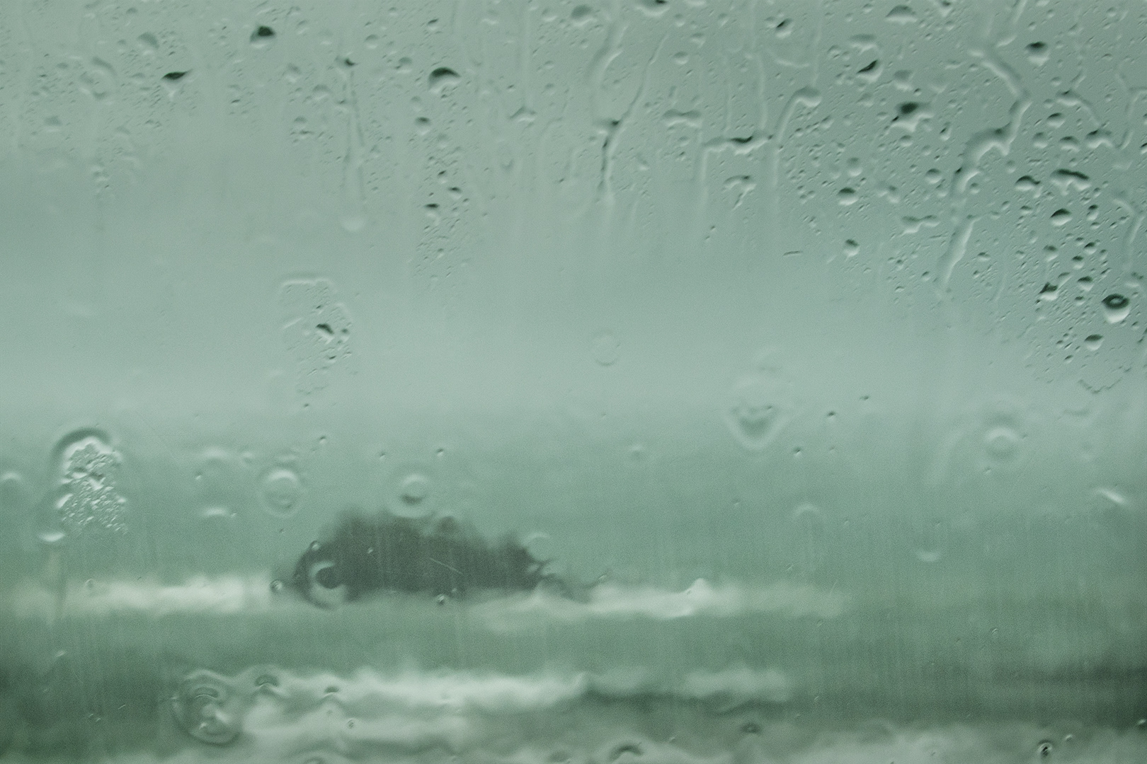 Rainy day at Muriwai