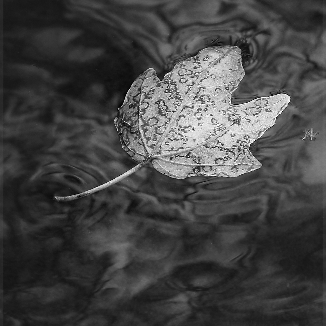 Floating