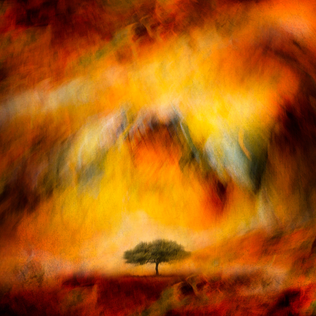 Under the Searing Sun