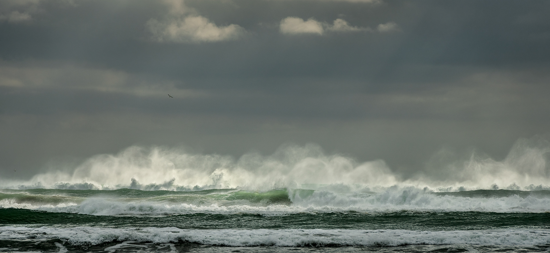 Wild Waves i