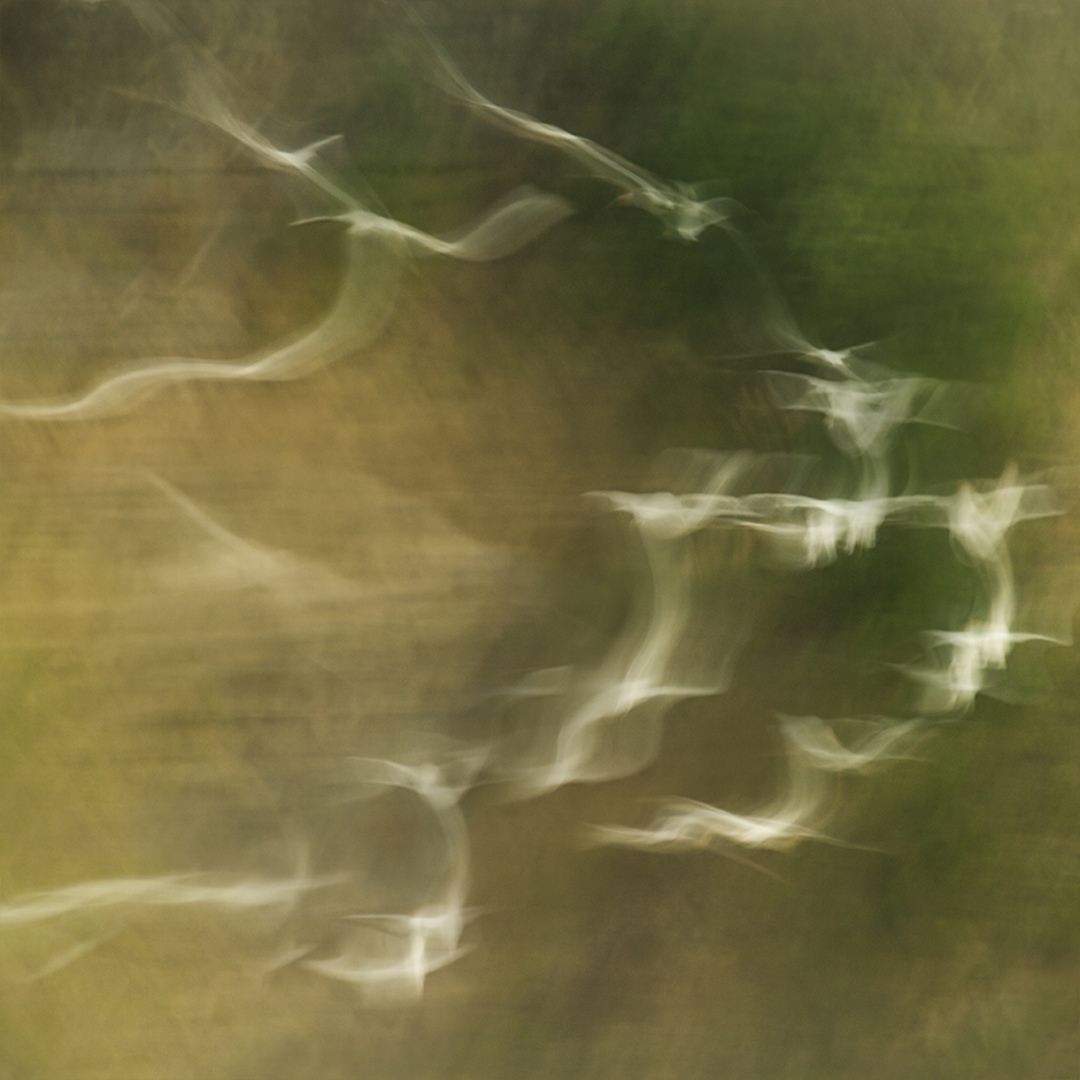 Flight paths i