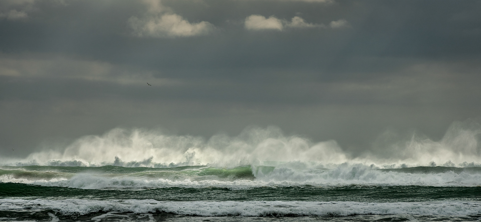 Wild Waves