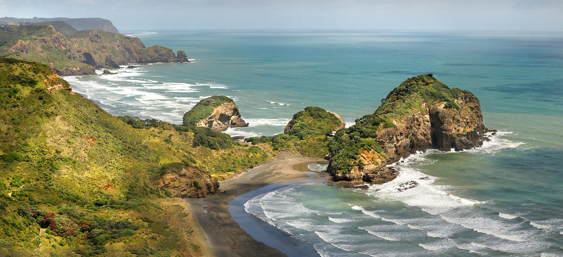 Te Henga walk i