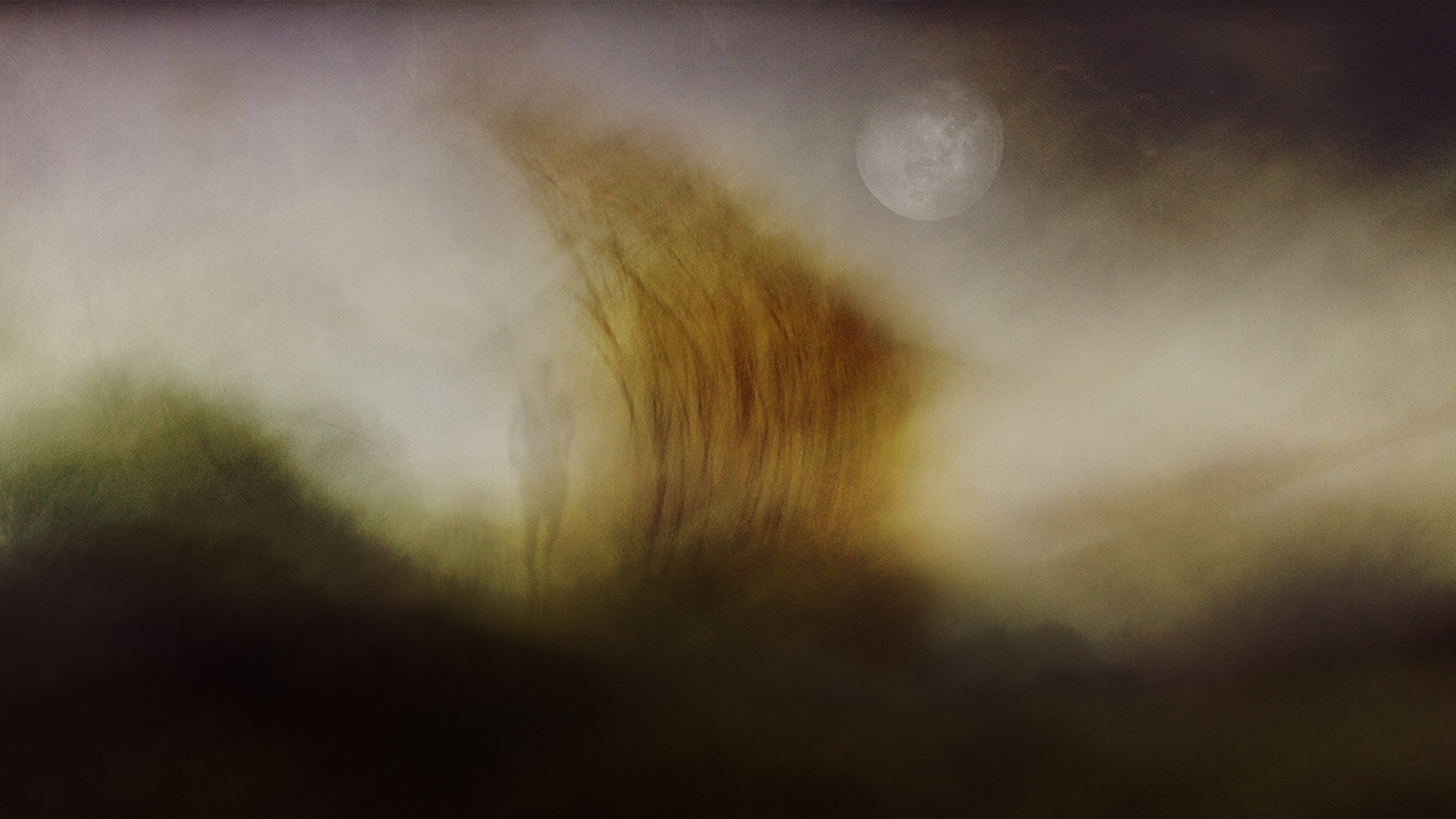 Solitude in the moody dunes