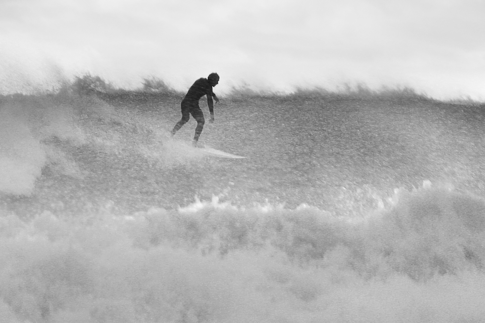 Surfer