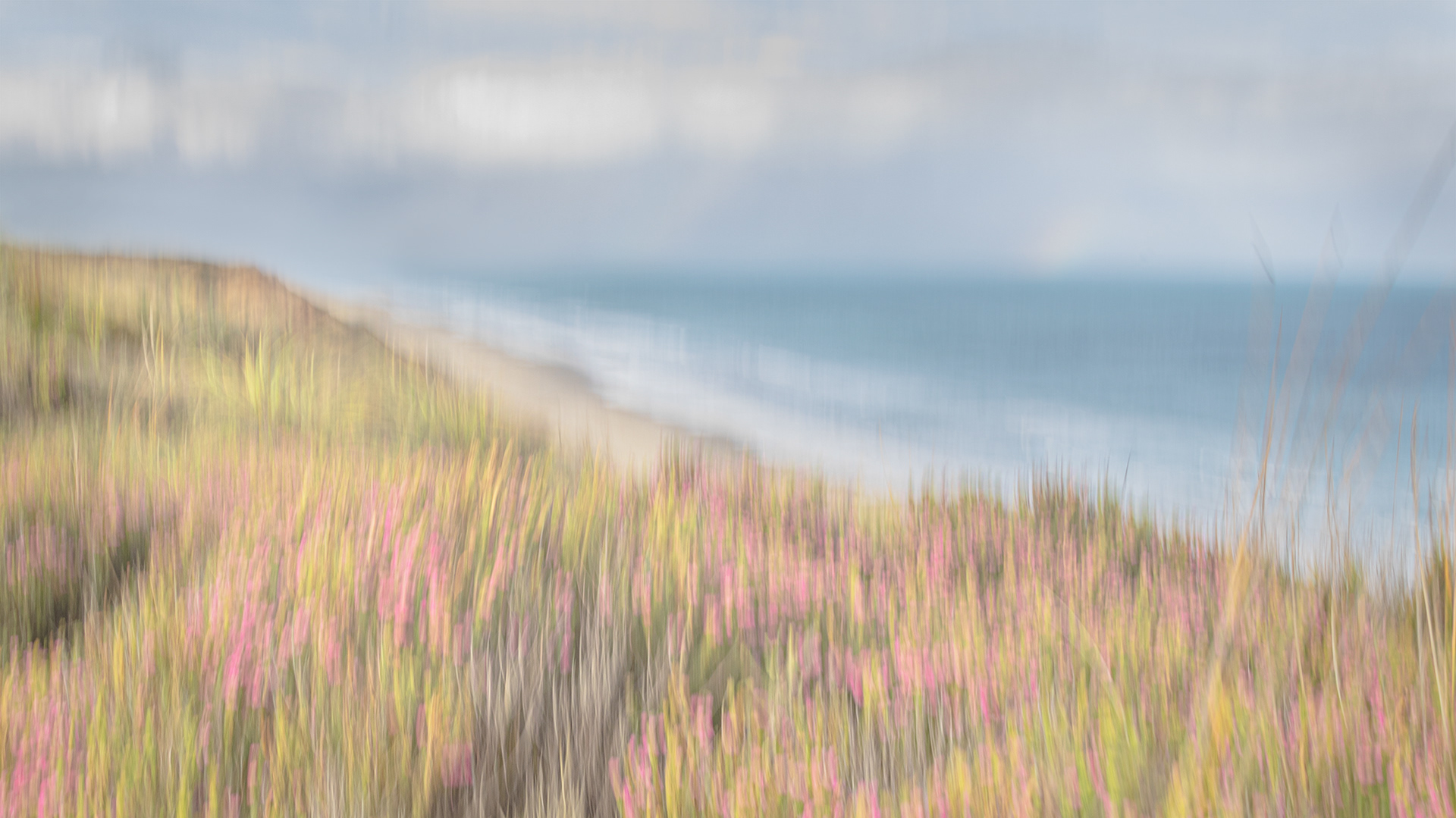 Heather on the tops