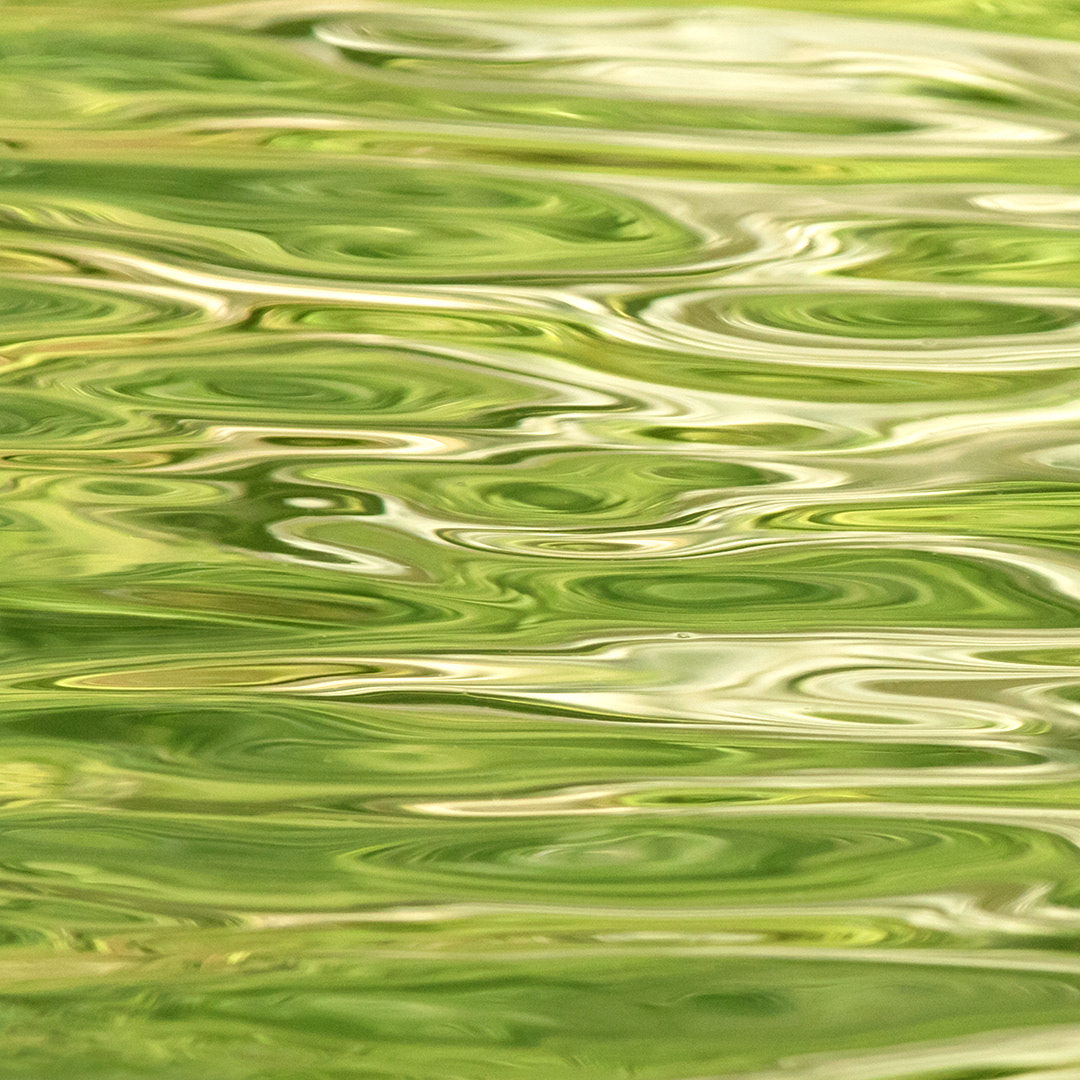 Nature's design