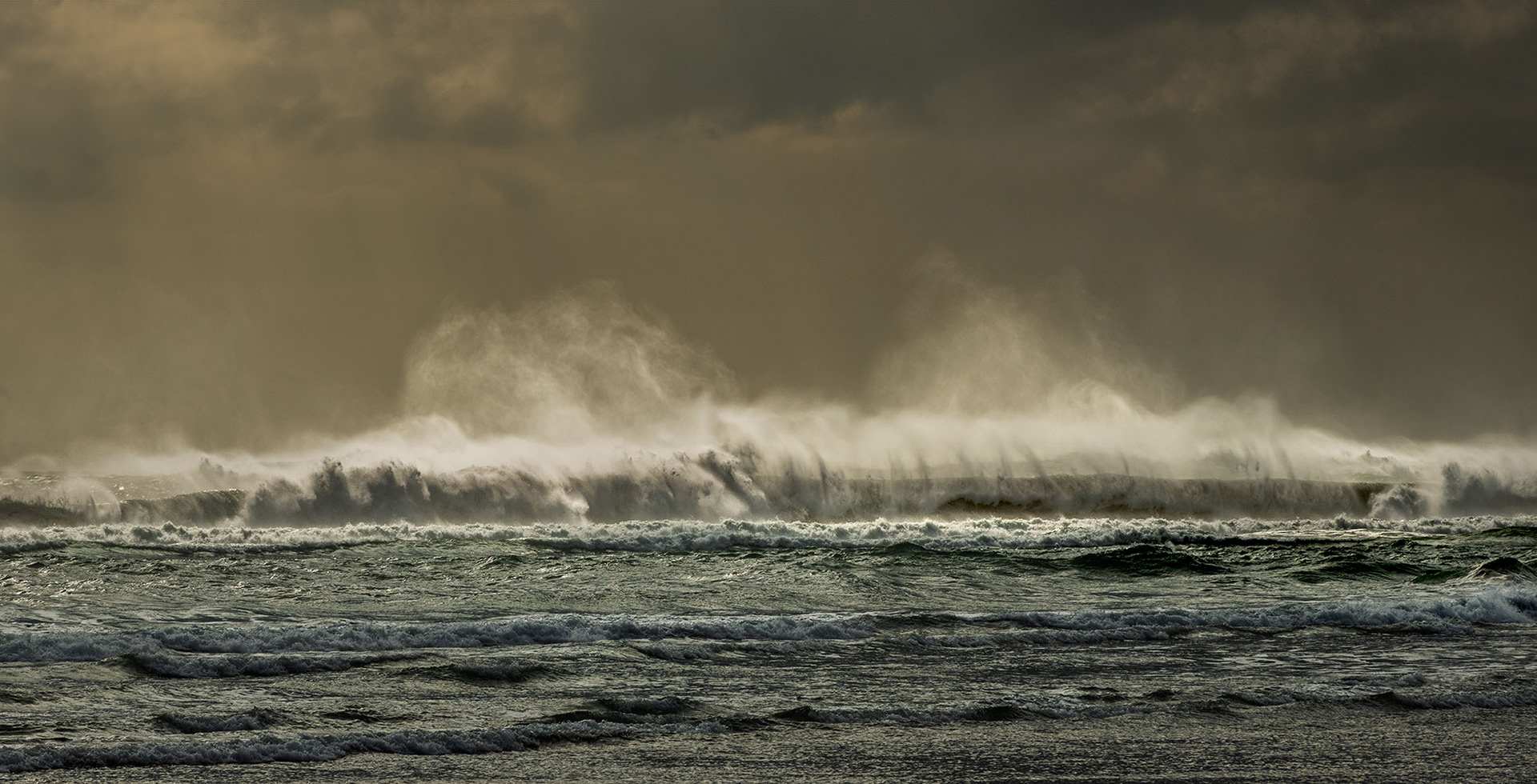Wild waves ii