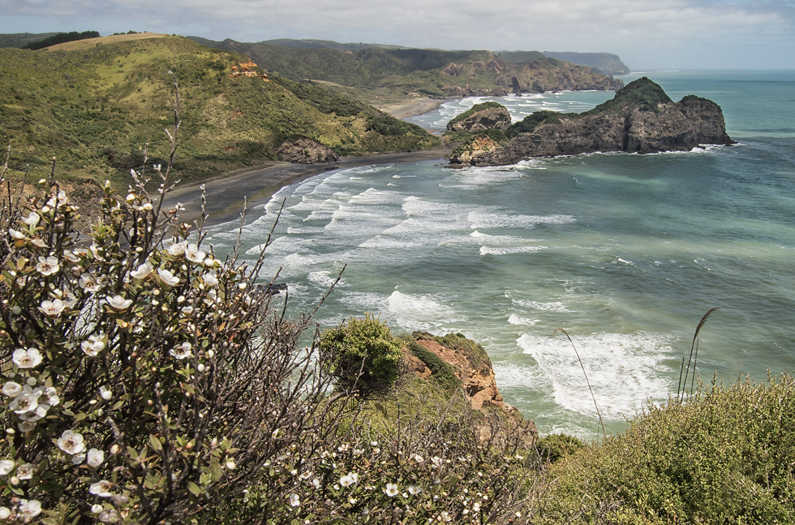 Te Henga walk ii