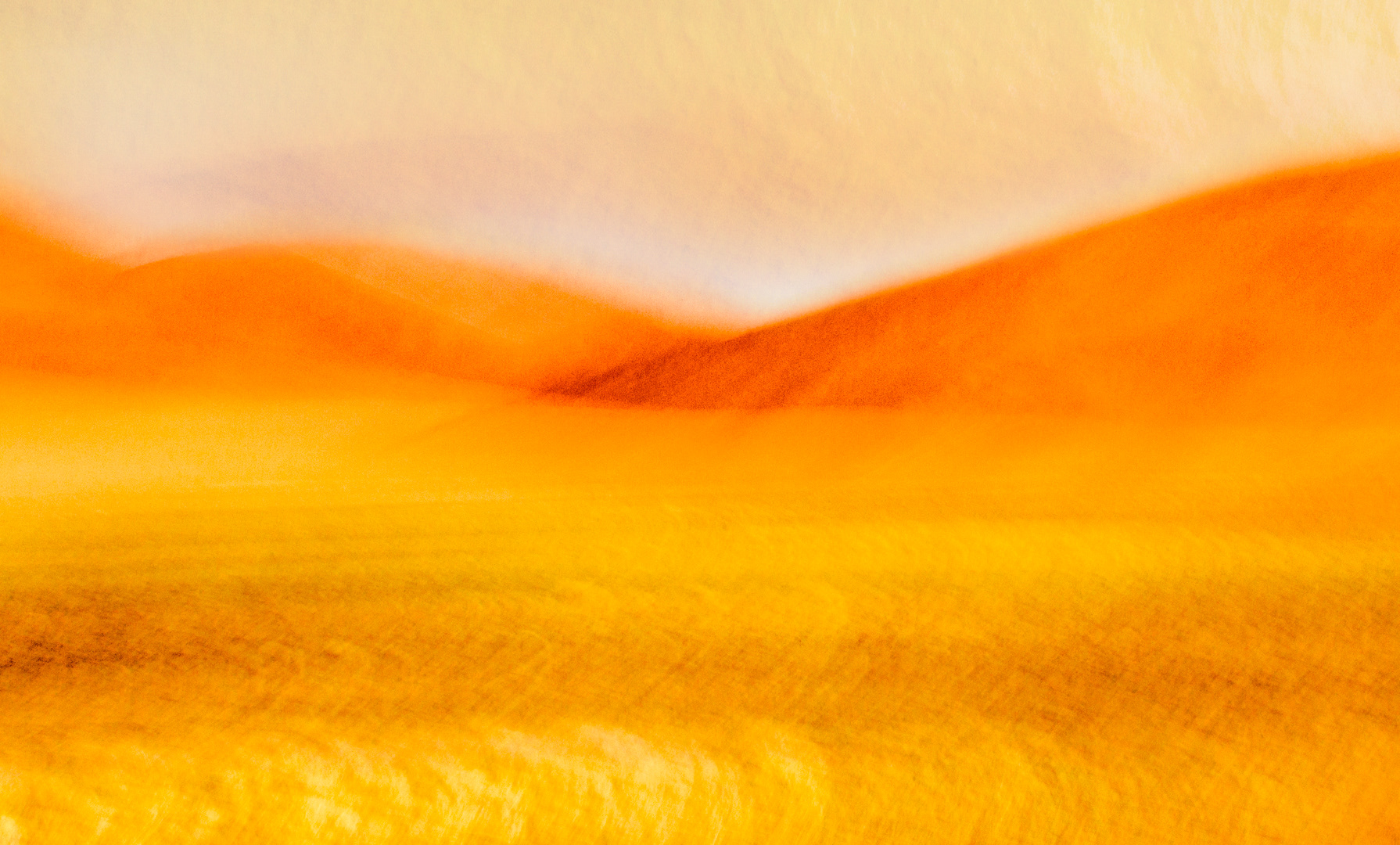 Mood of the Namib