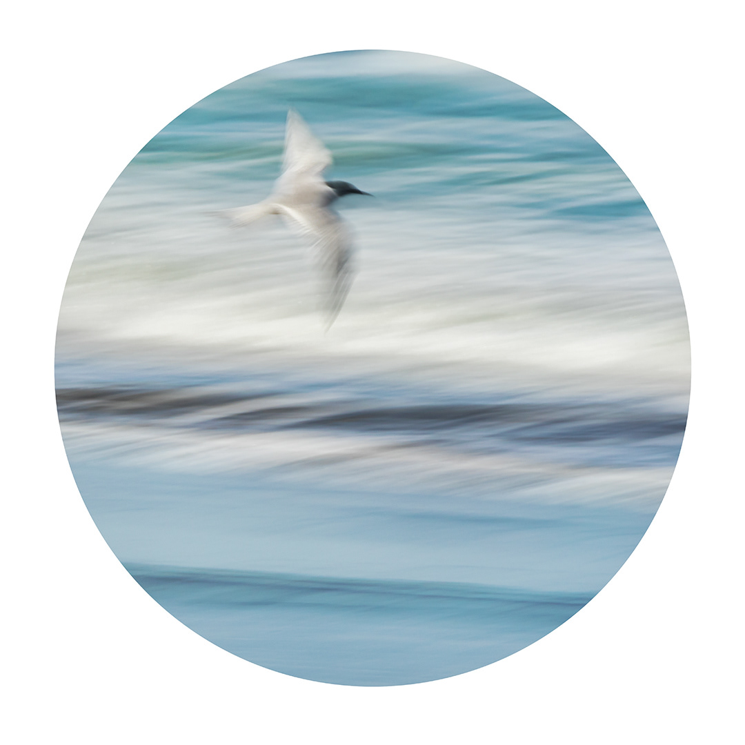 Untethered Flight