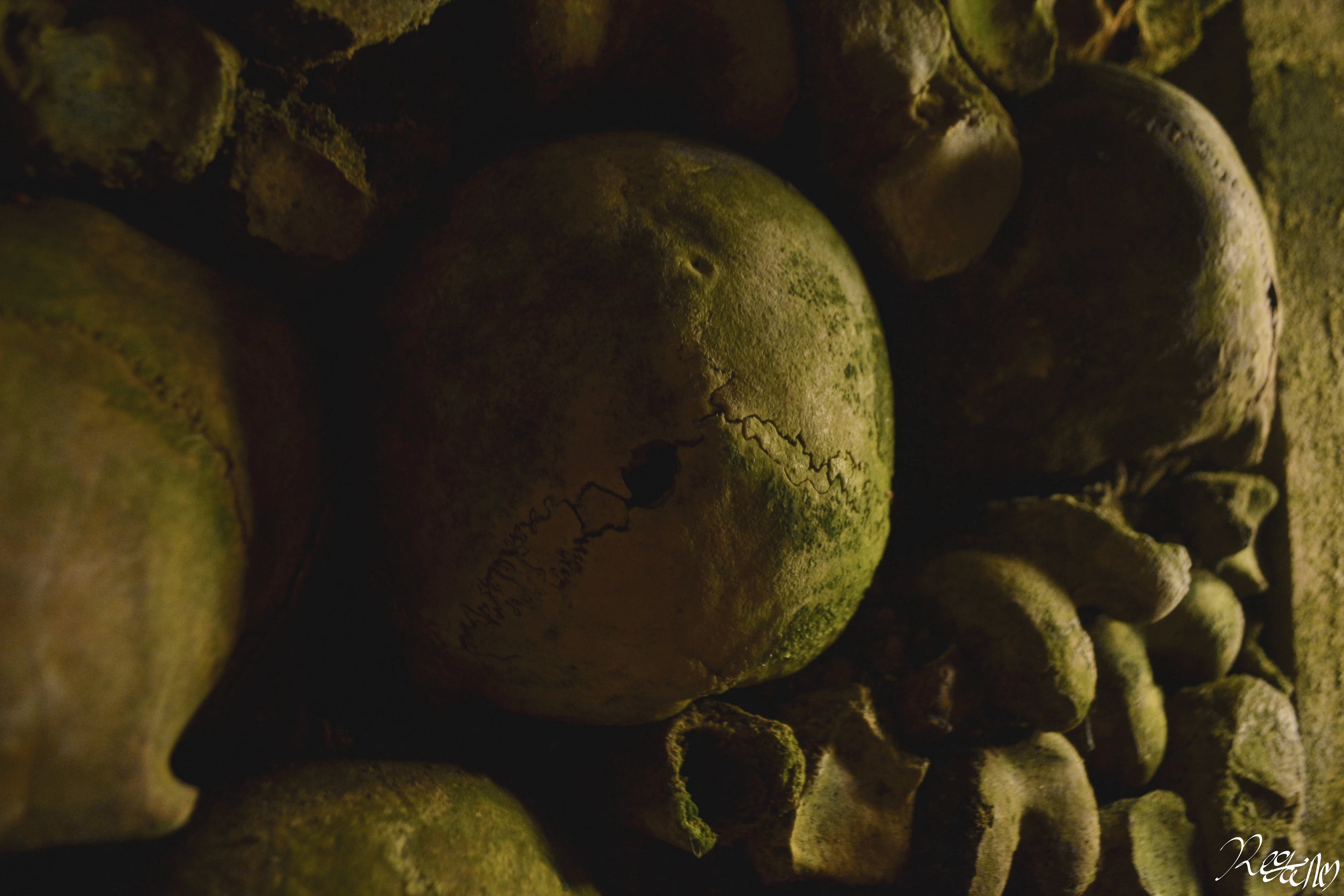 Skulls, 2018.