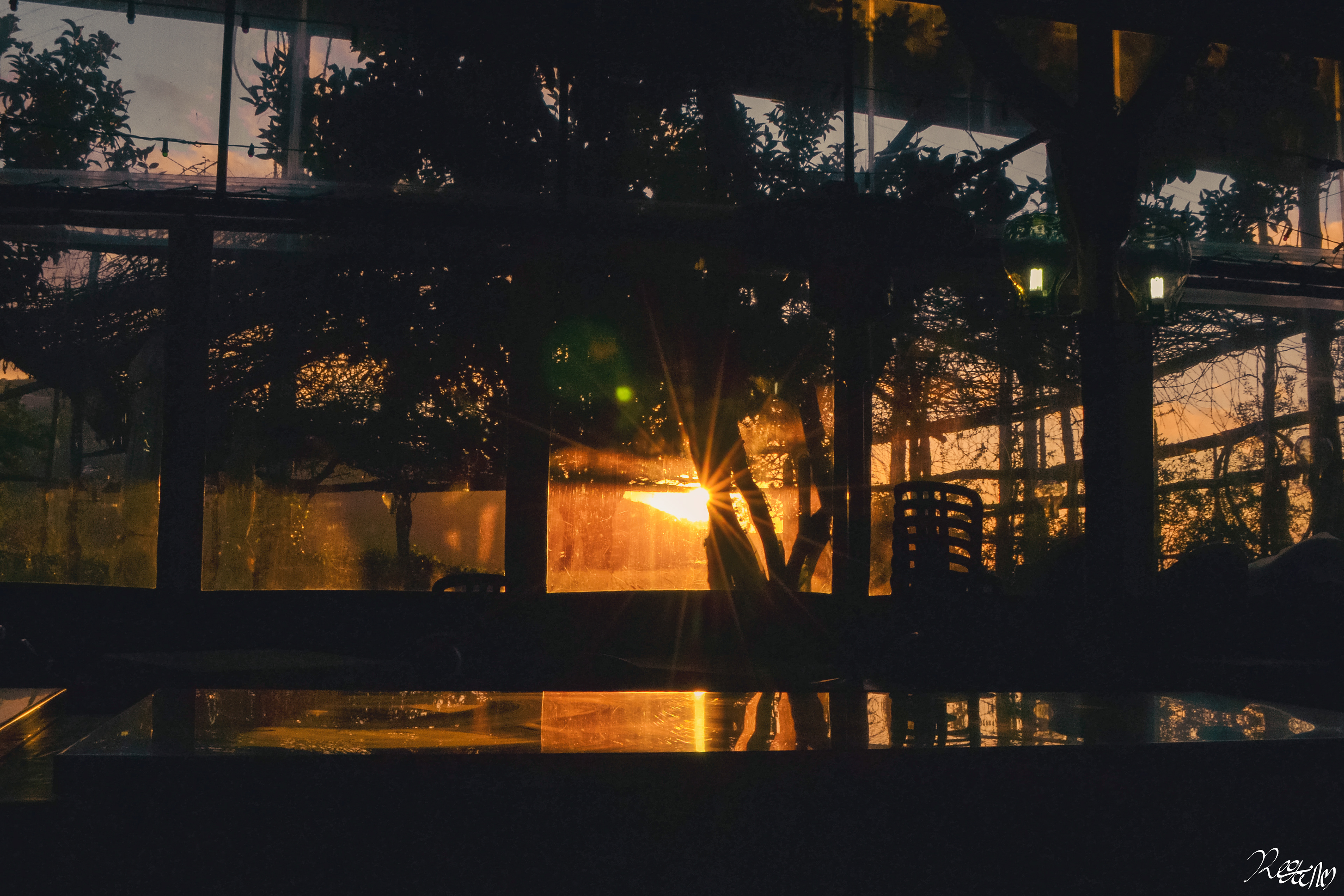 Peeking Shadows, 2018.
