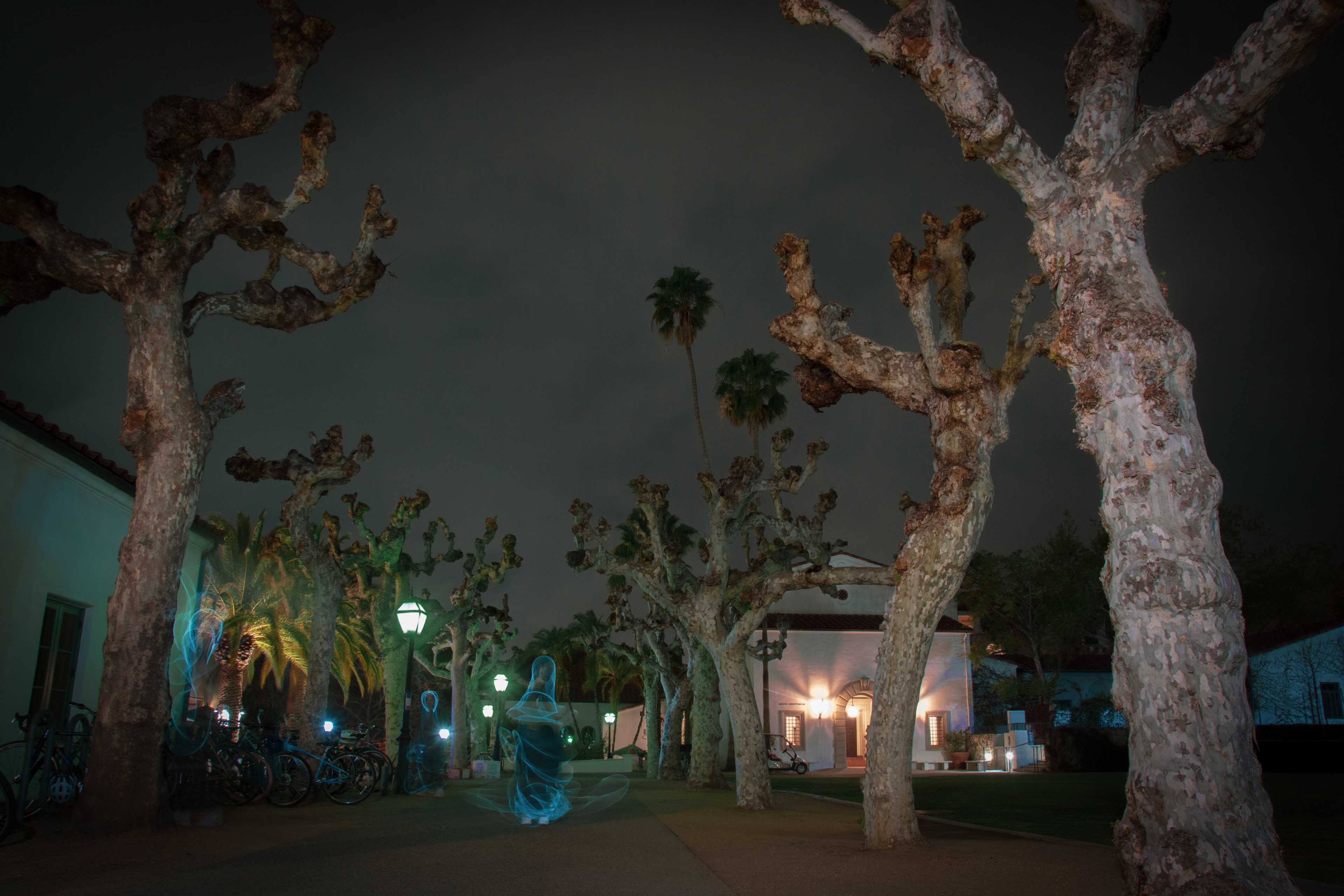 Midnight Walk.