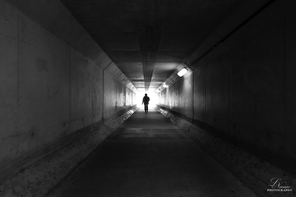 Find Your Light