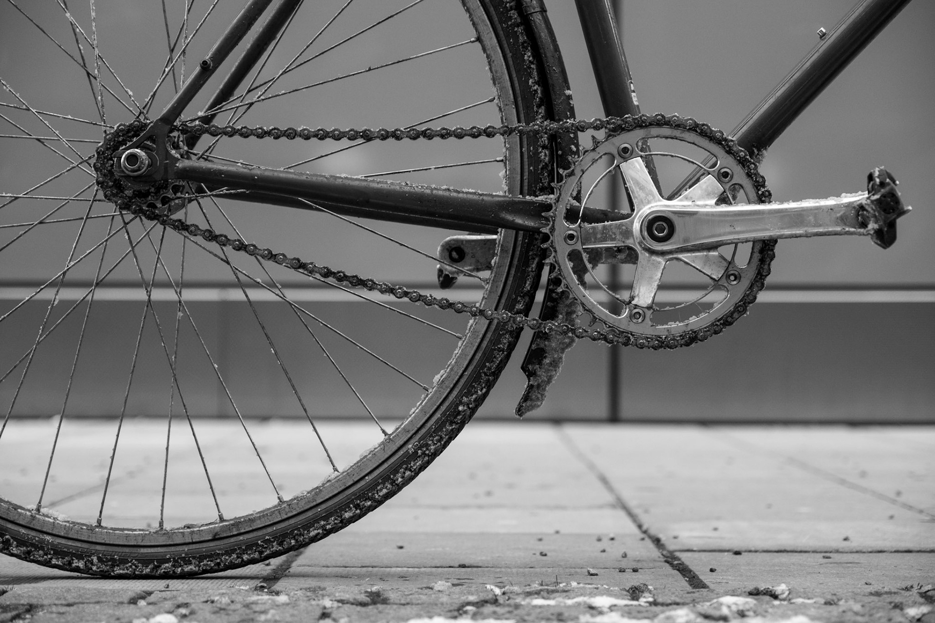 Elias Ejderhamn - Stockholm 2023