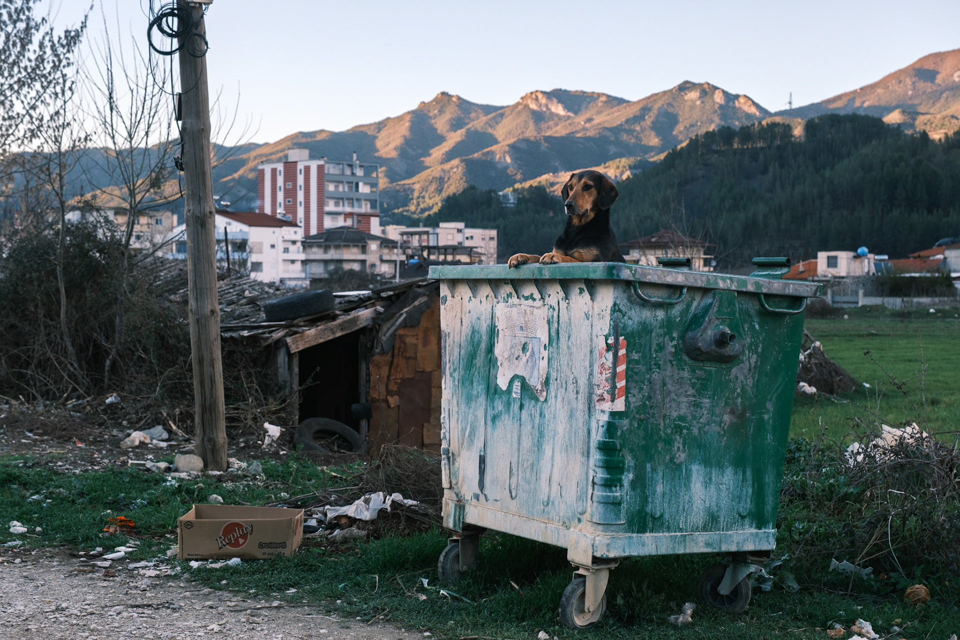 Elias Ejderhamn - Albania 2023