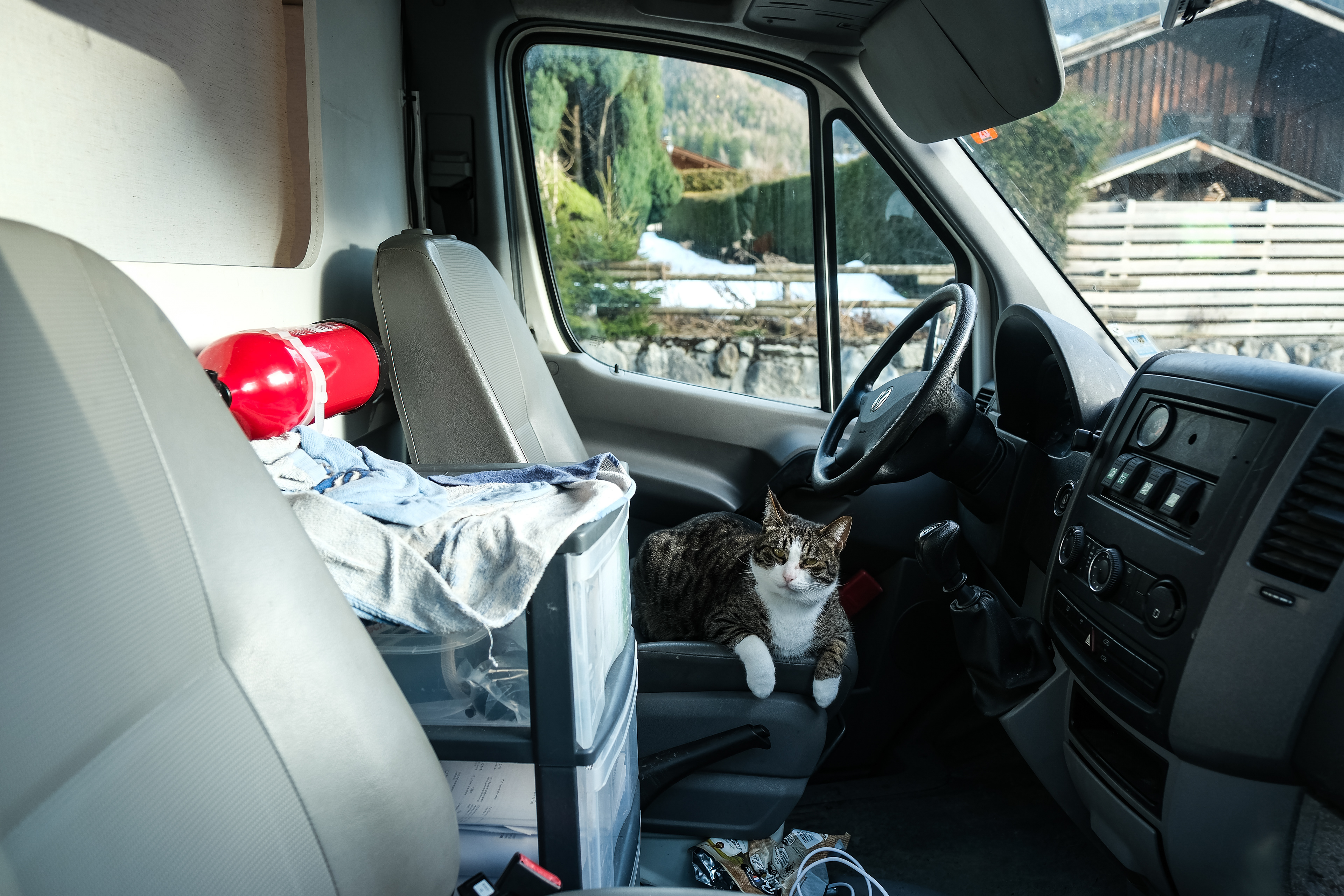 Morgan Akhourfi - Chat Quartz - Elias Ejderhamn - 2026