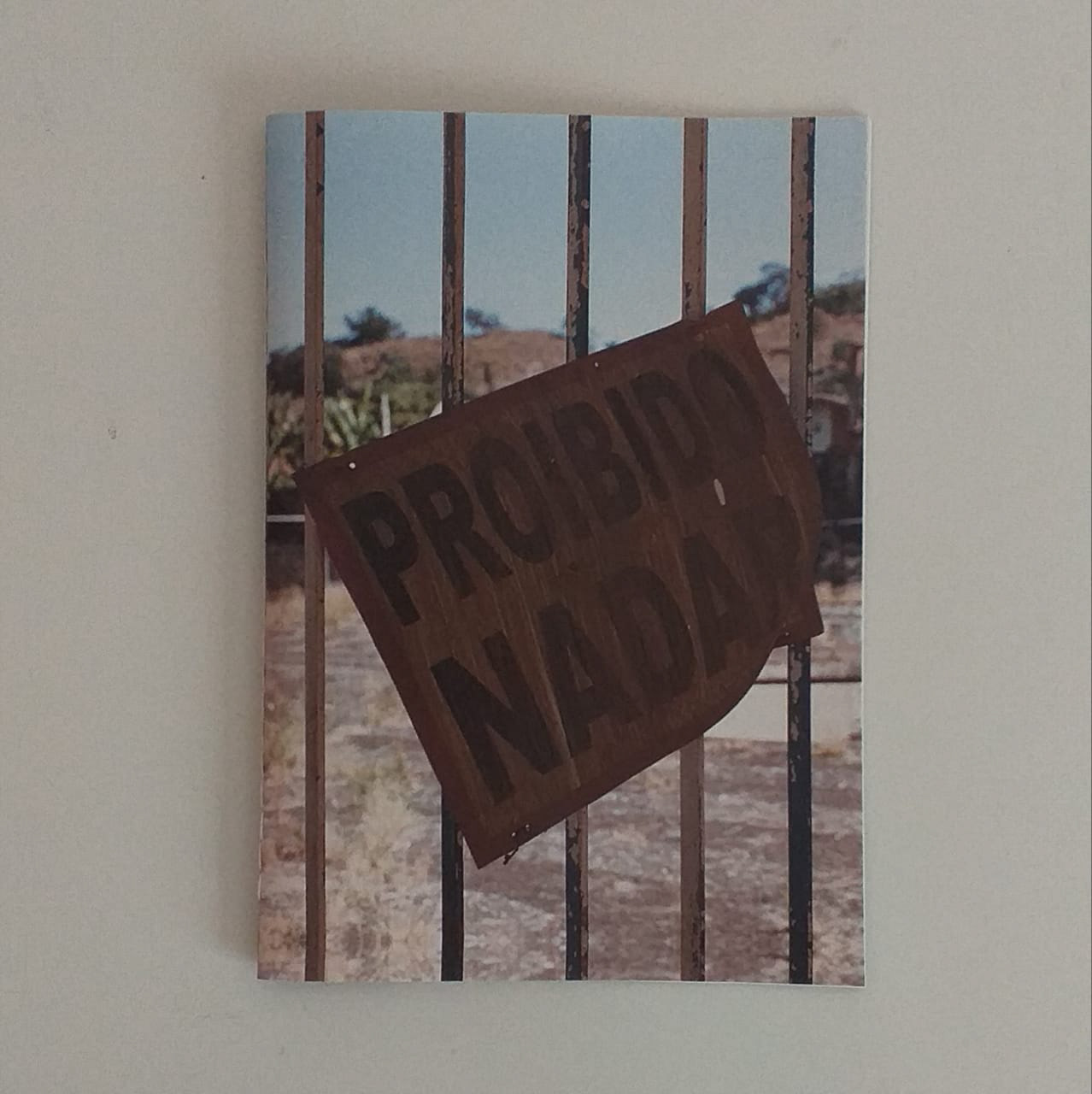 Proibido Nadar _ Uolli Briotto