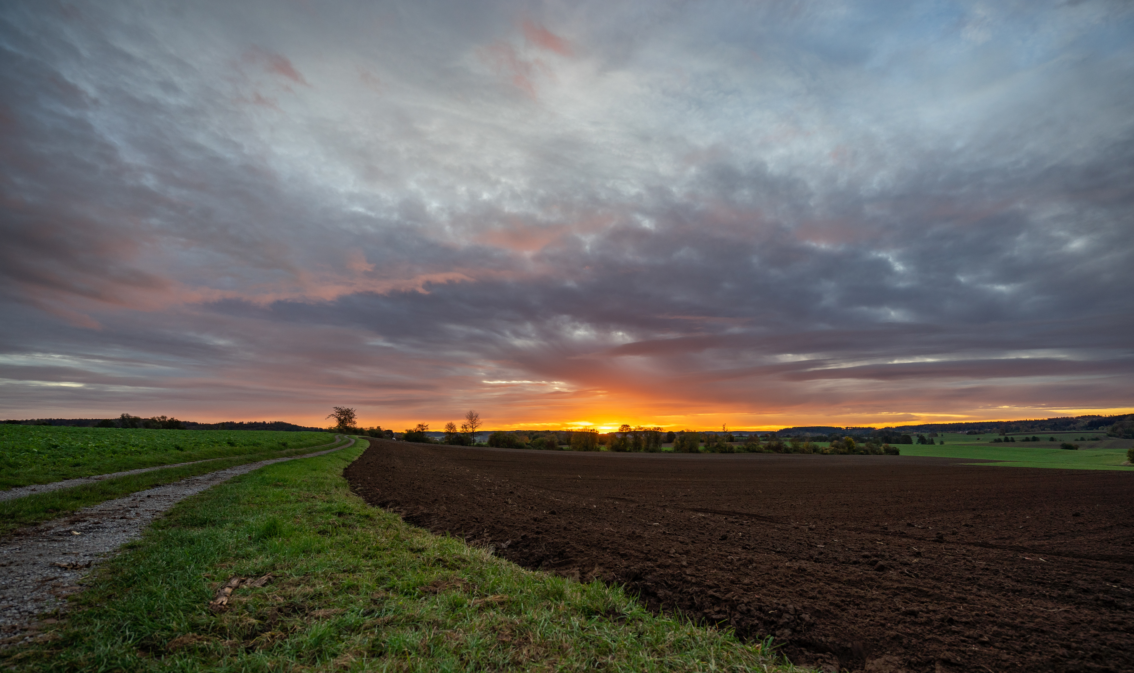 Sunrise