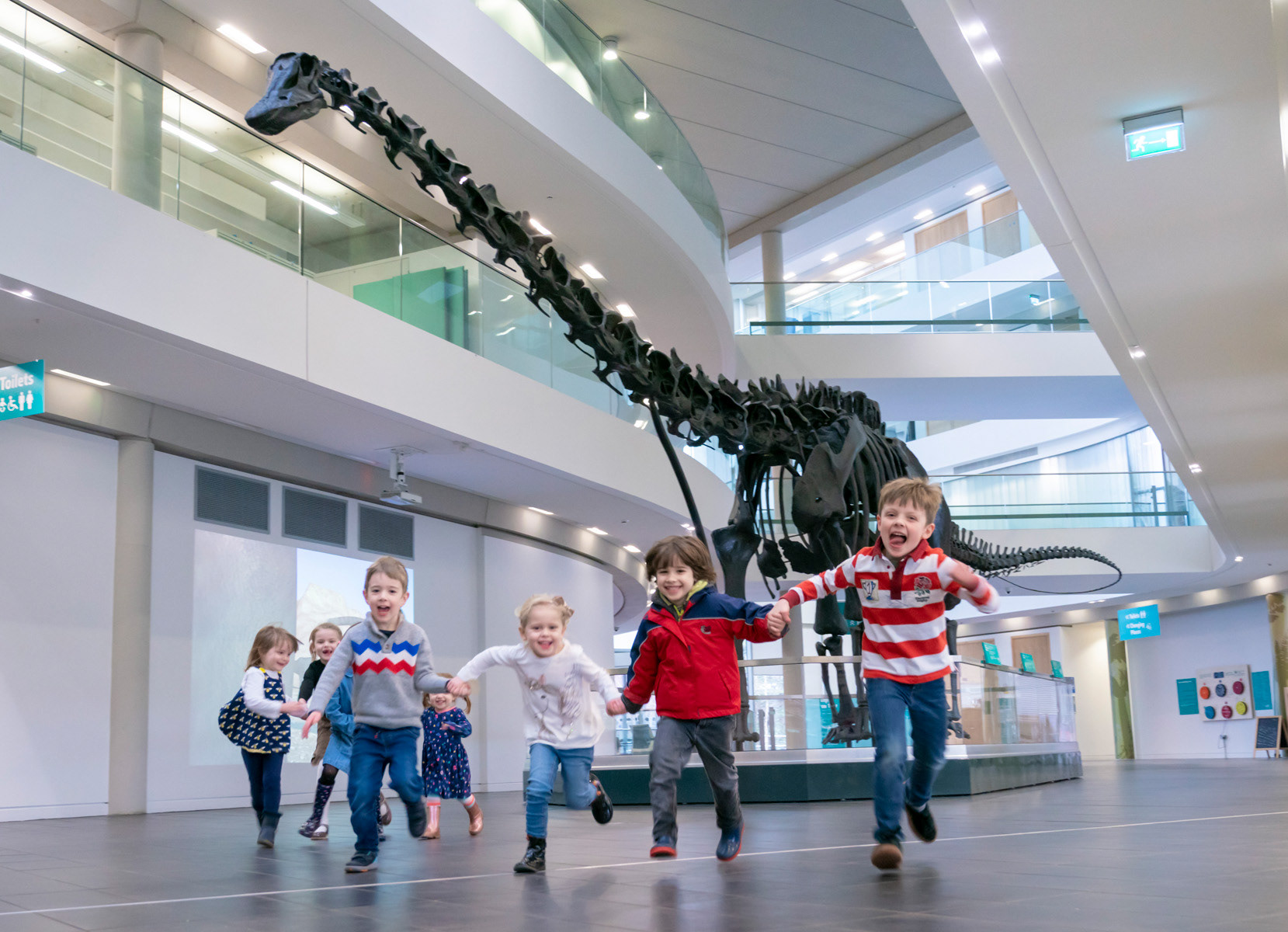 Dippy the dinosaur exhibited in Rochdale