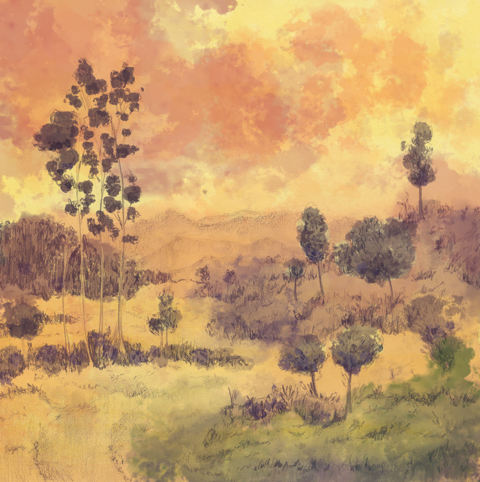 Springville Sessions by the Ladles album cover