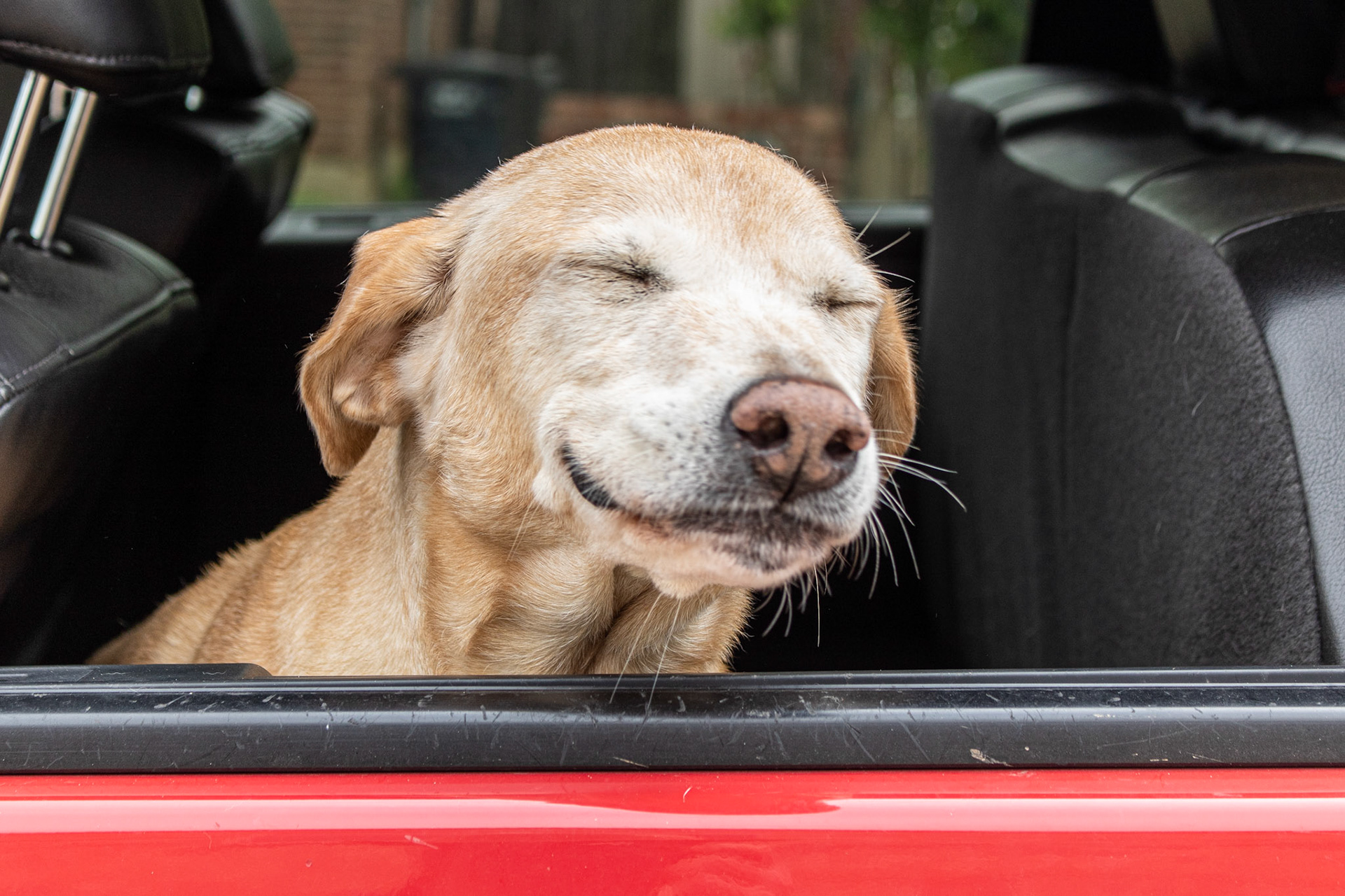 Drive-by Porchraits by Tony Drewry