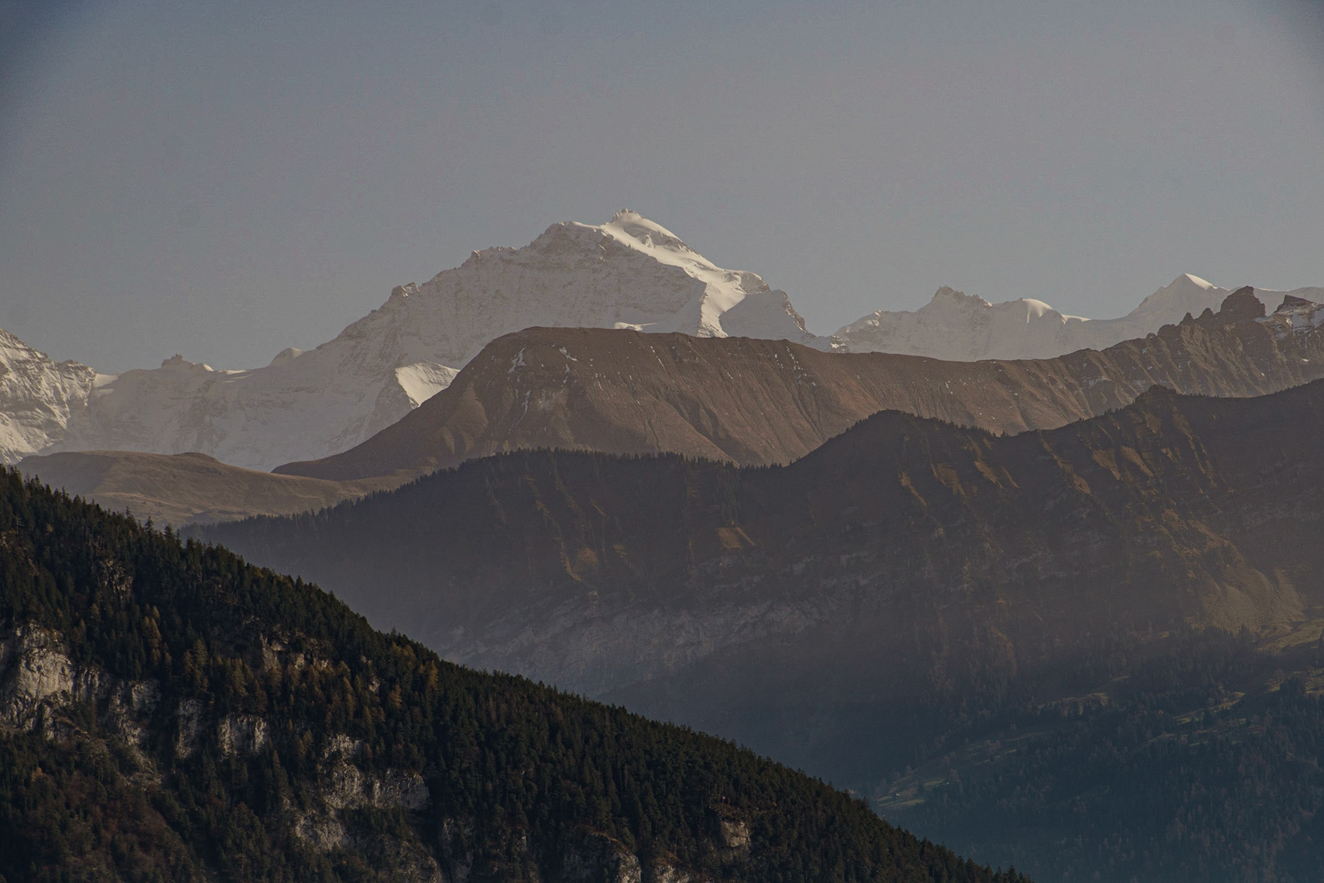 Jungfrau