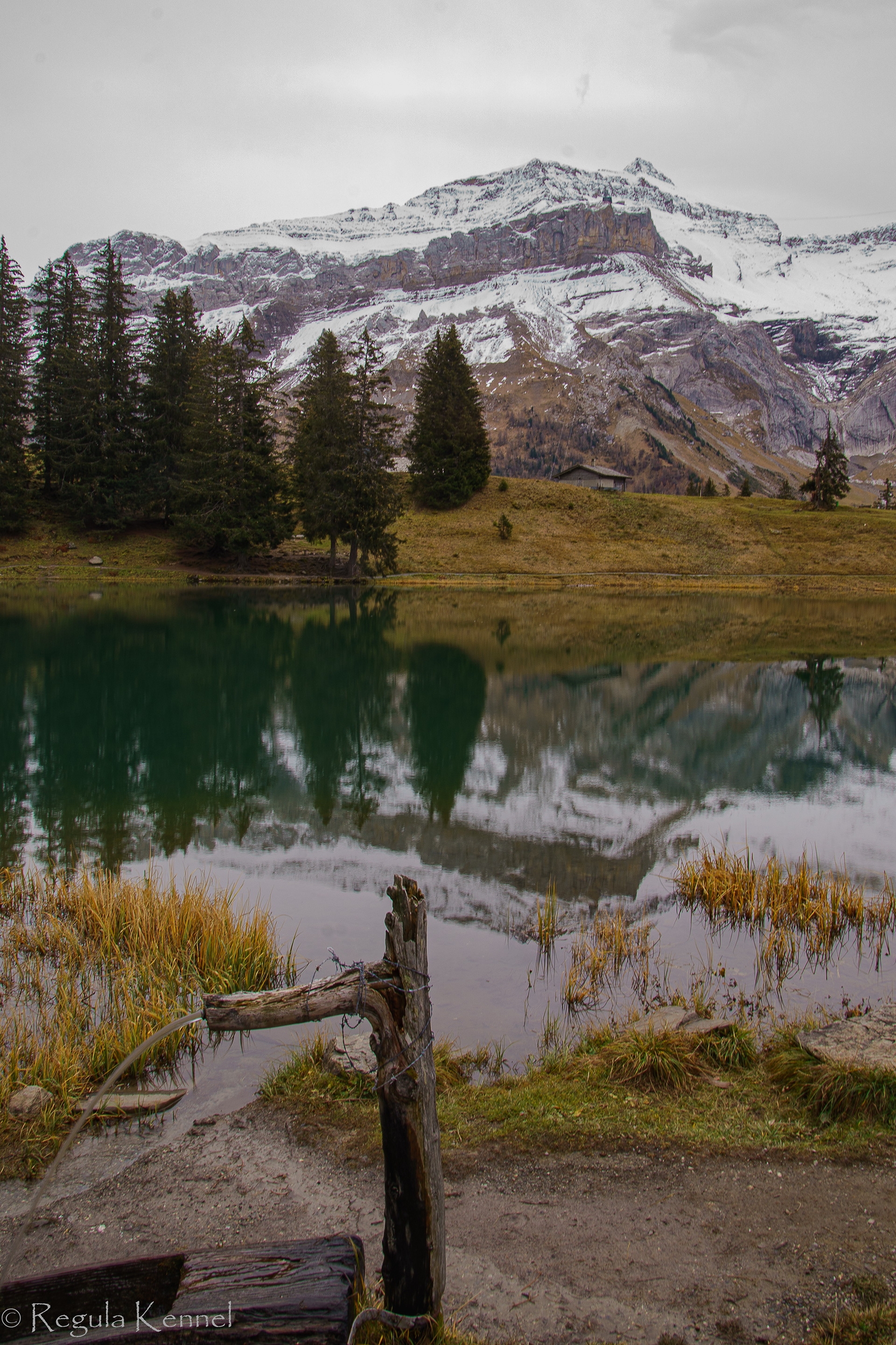 Blick auf Les Diablerets