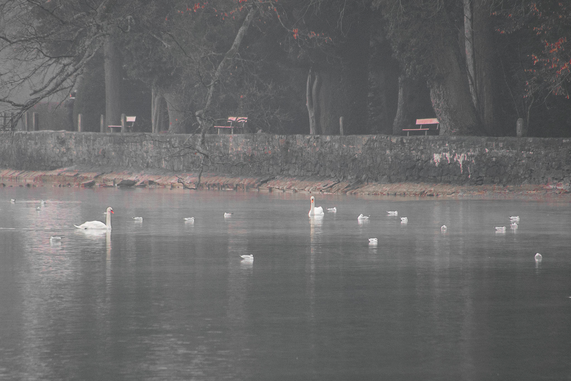 ..Oase der Ruhe und Vogelparadies