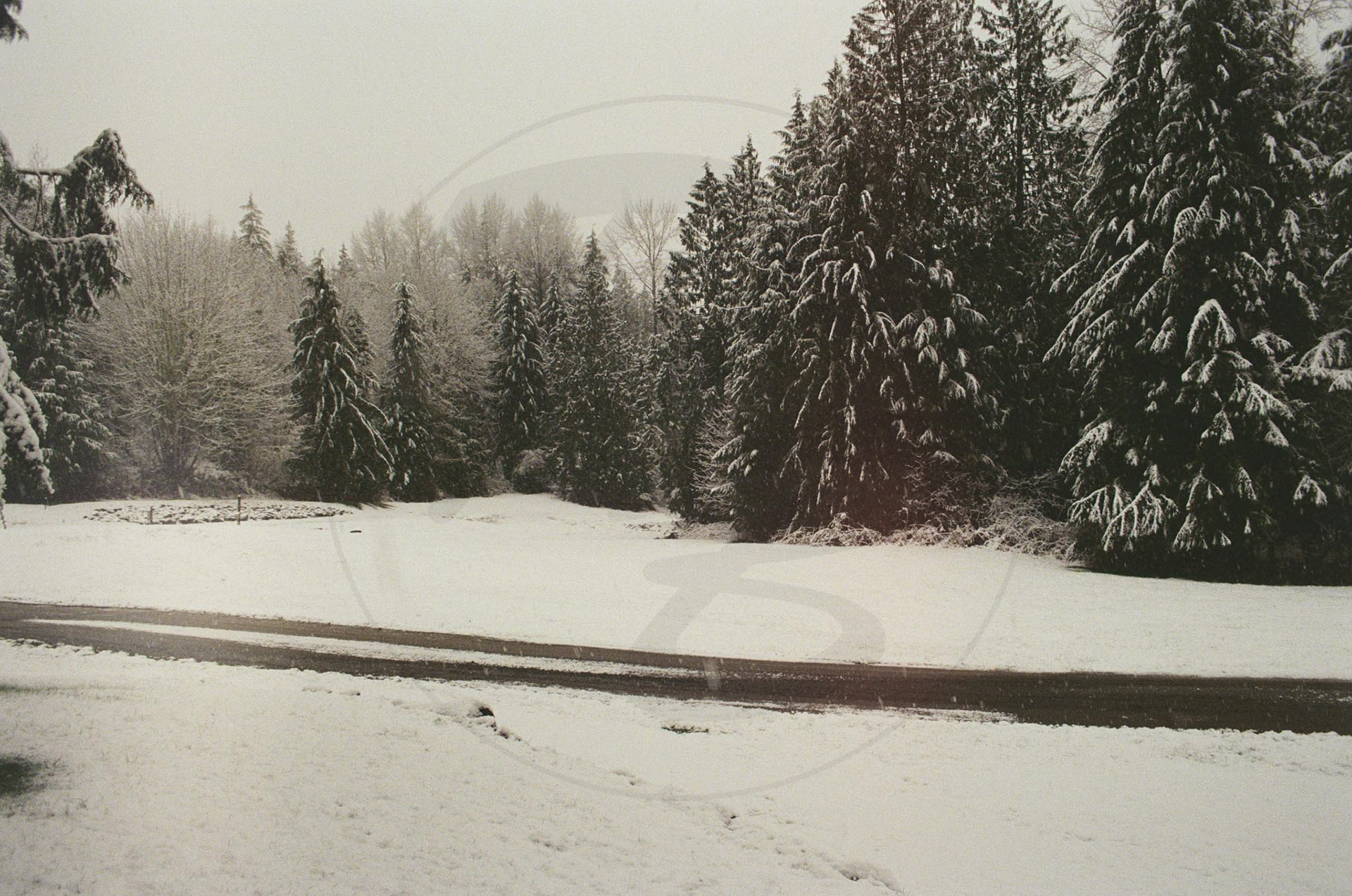 Kodak Ultramax 400