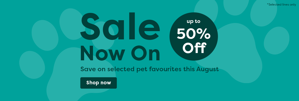 High Priority Sale Messaging - Desktop Homepage